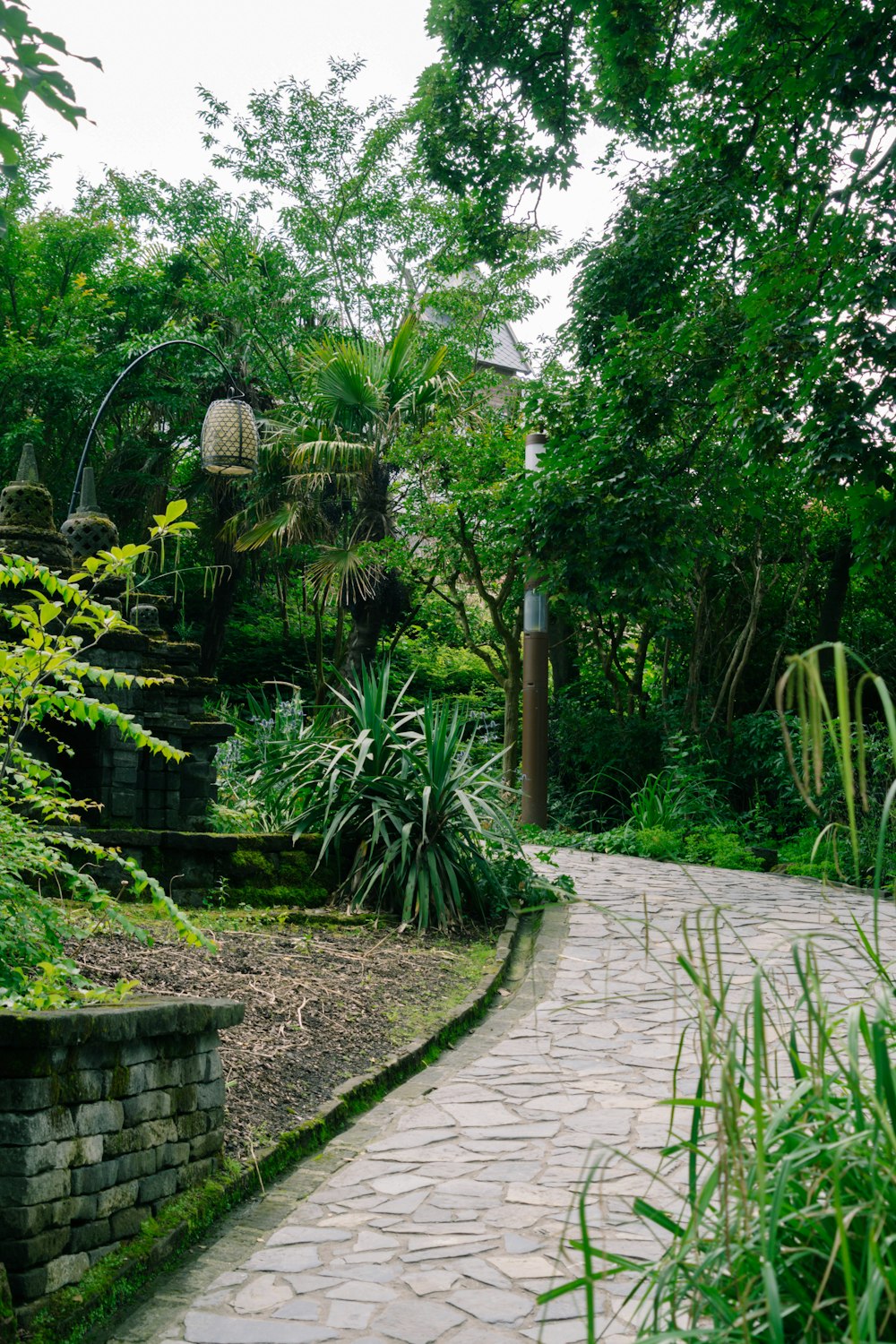 green trees and plants on brown brick floor