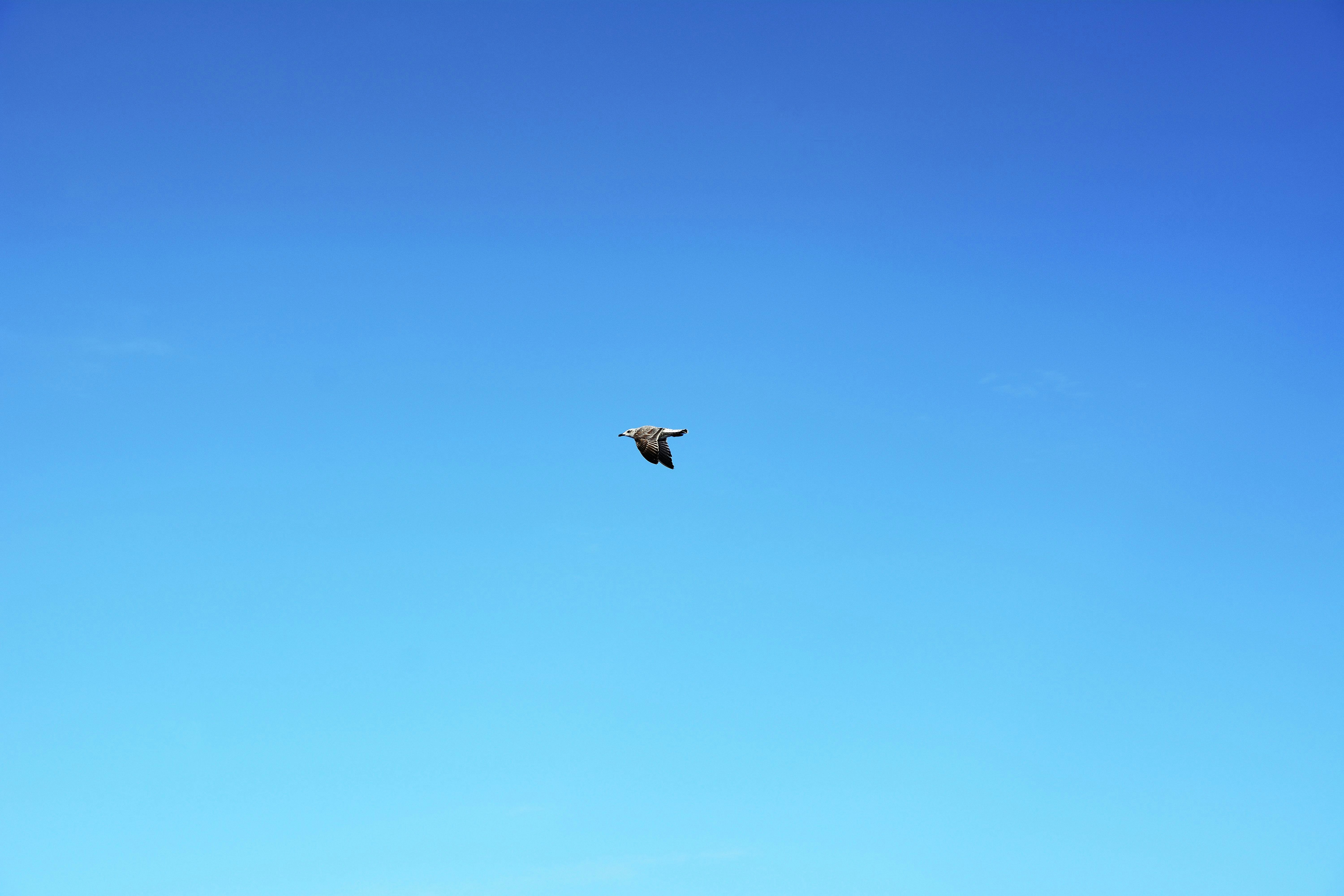 Photo by illes_cristi