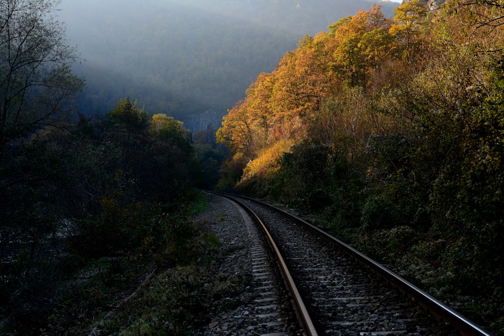 train rail near green trees during daytime