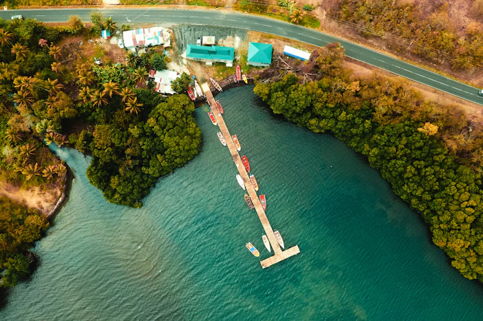 Aerial view of a riverside dock among the trees