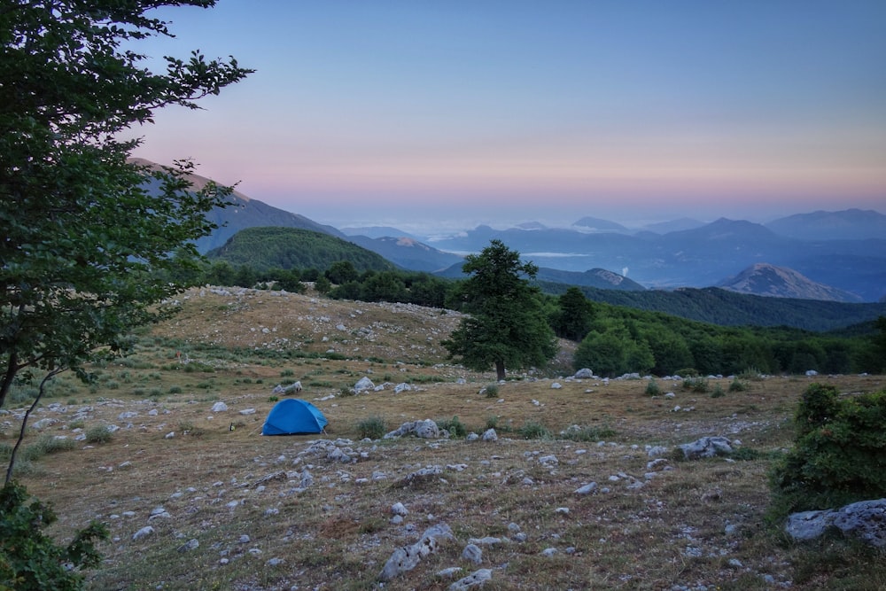 tenda blu sul campo di erba verde vicino agli alberi verdi durante il giorno