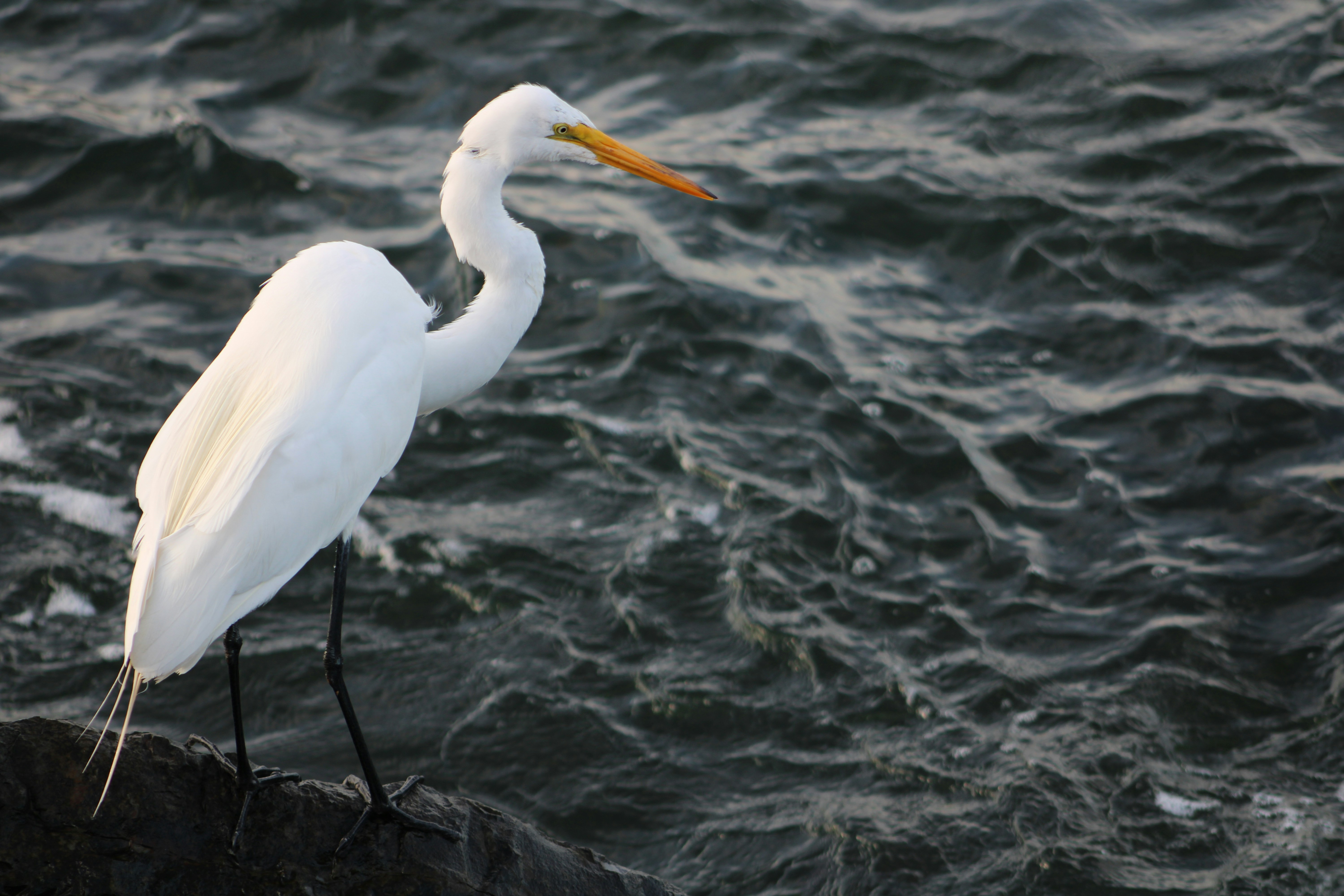 Photo by sadiecoulter