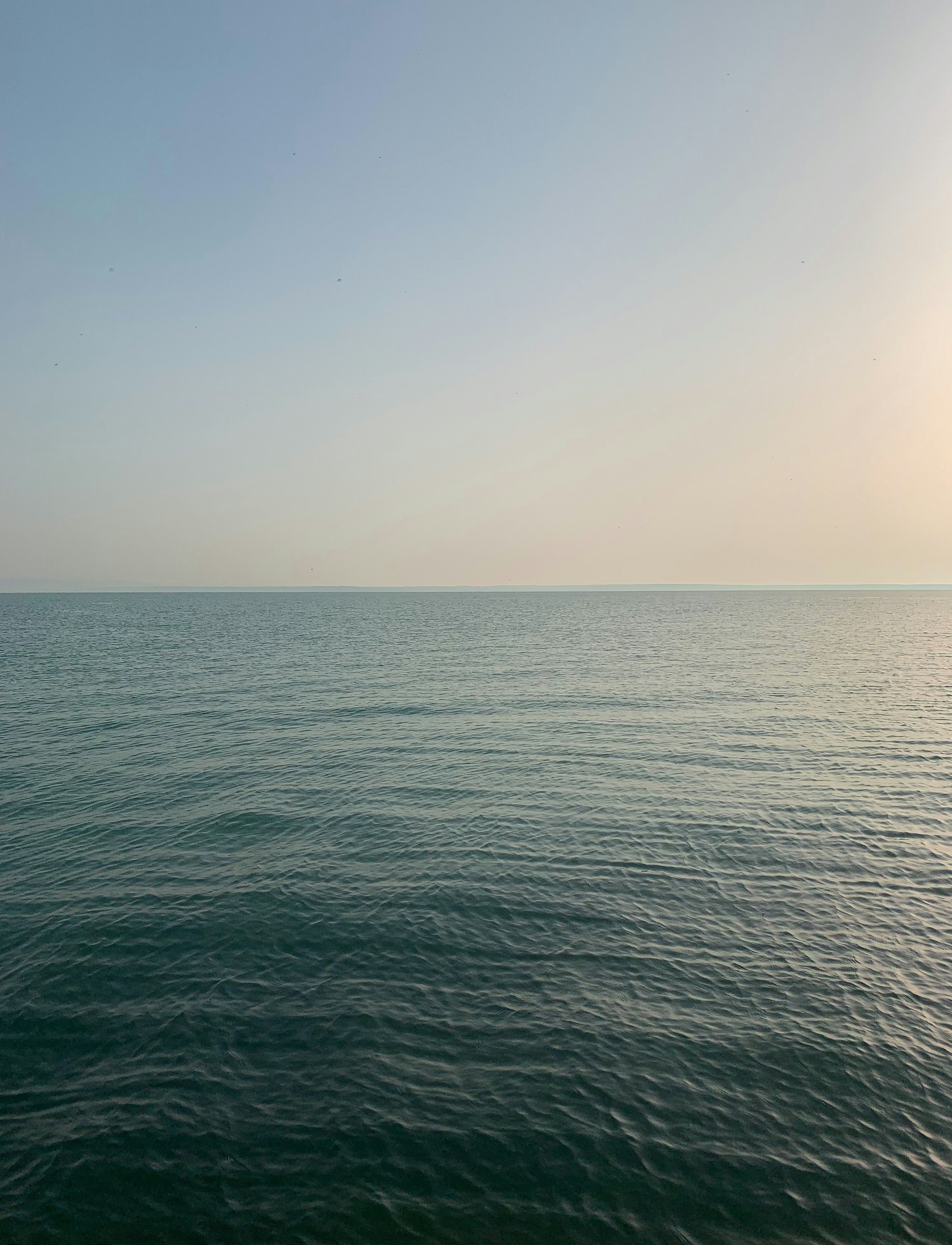 Photo by gal_bence23