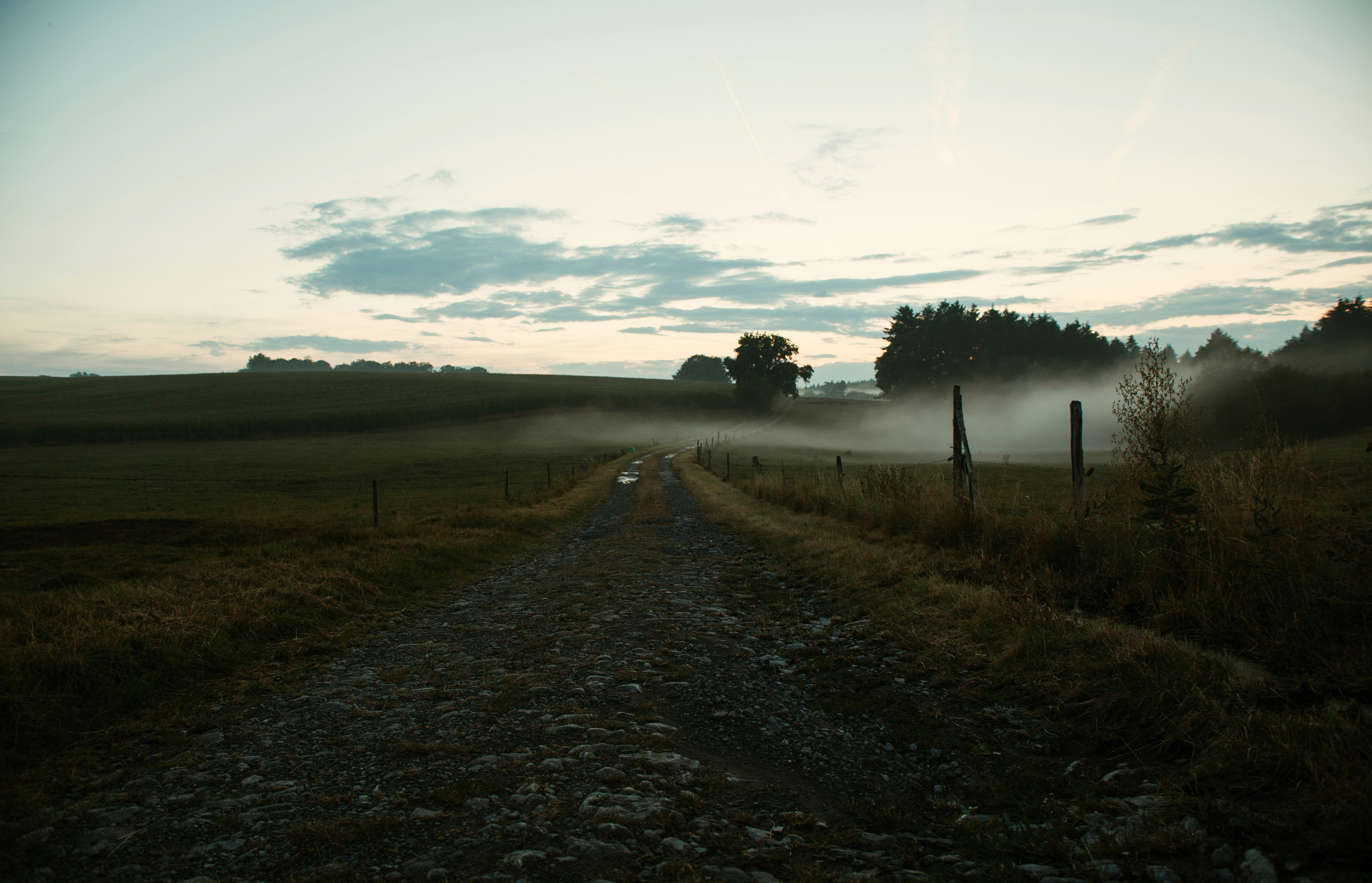 Photo by dylanleagh
