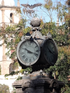 Birdsong Clock