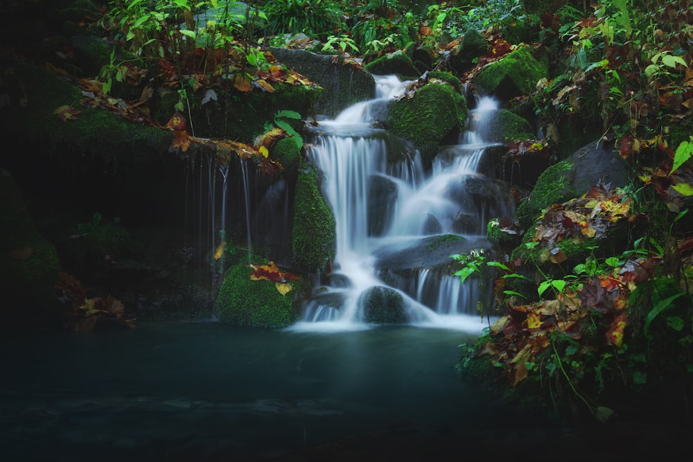 water falls in the middle of green plants