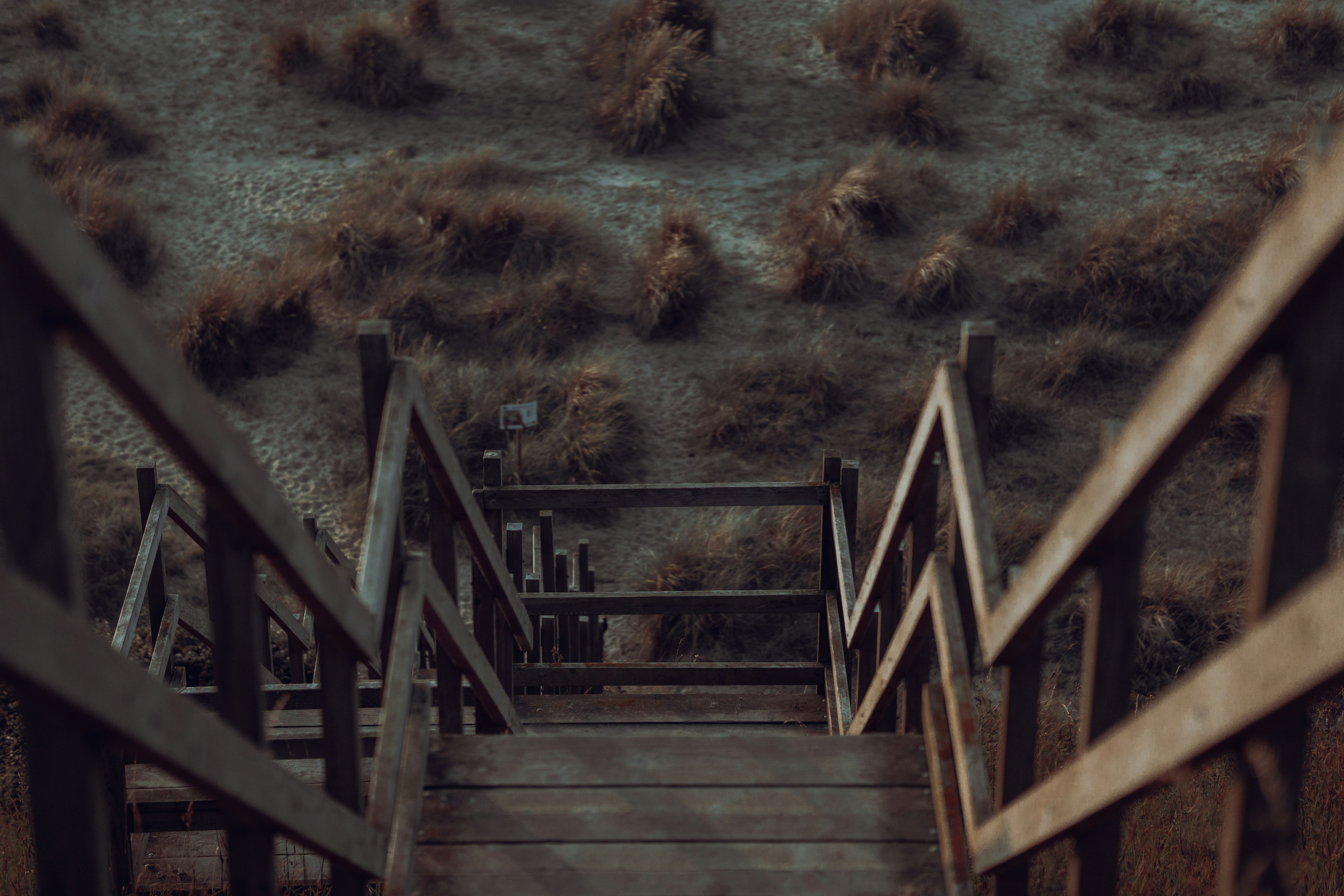 brown wooden staircase on green grass field