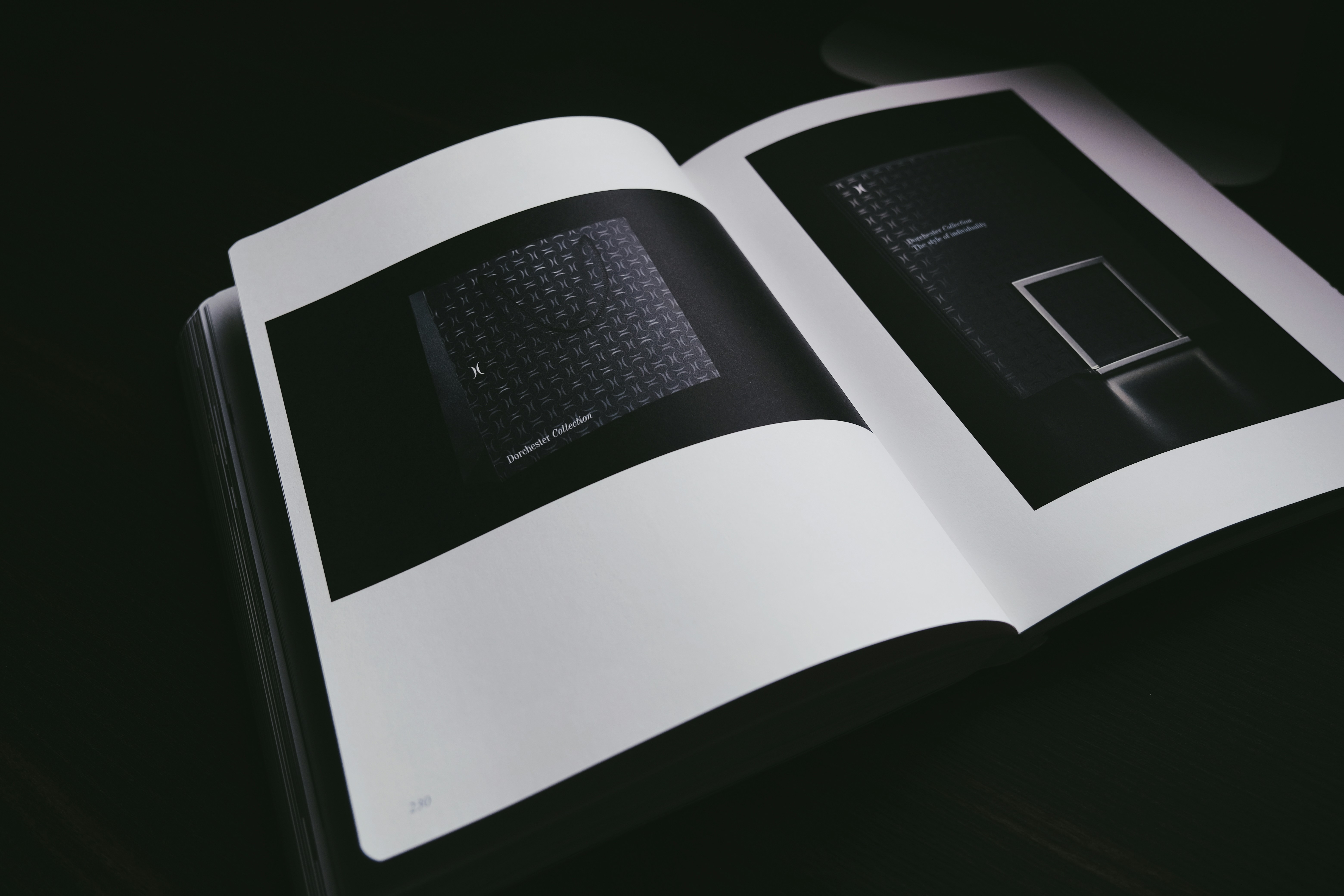 Voces de América Latina