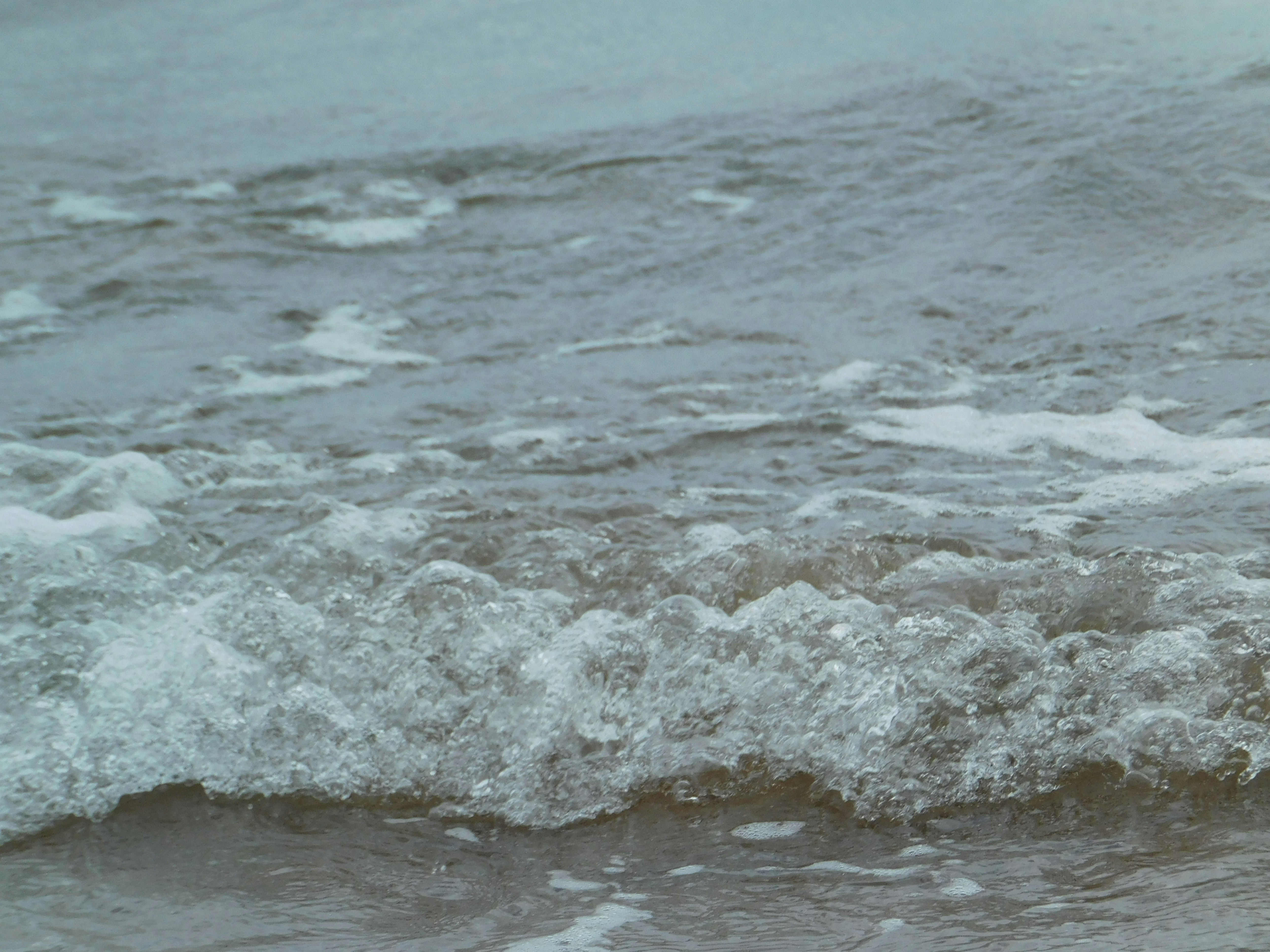 Photo by flora_and_fauna_8_9_10