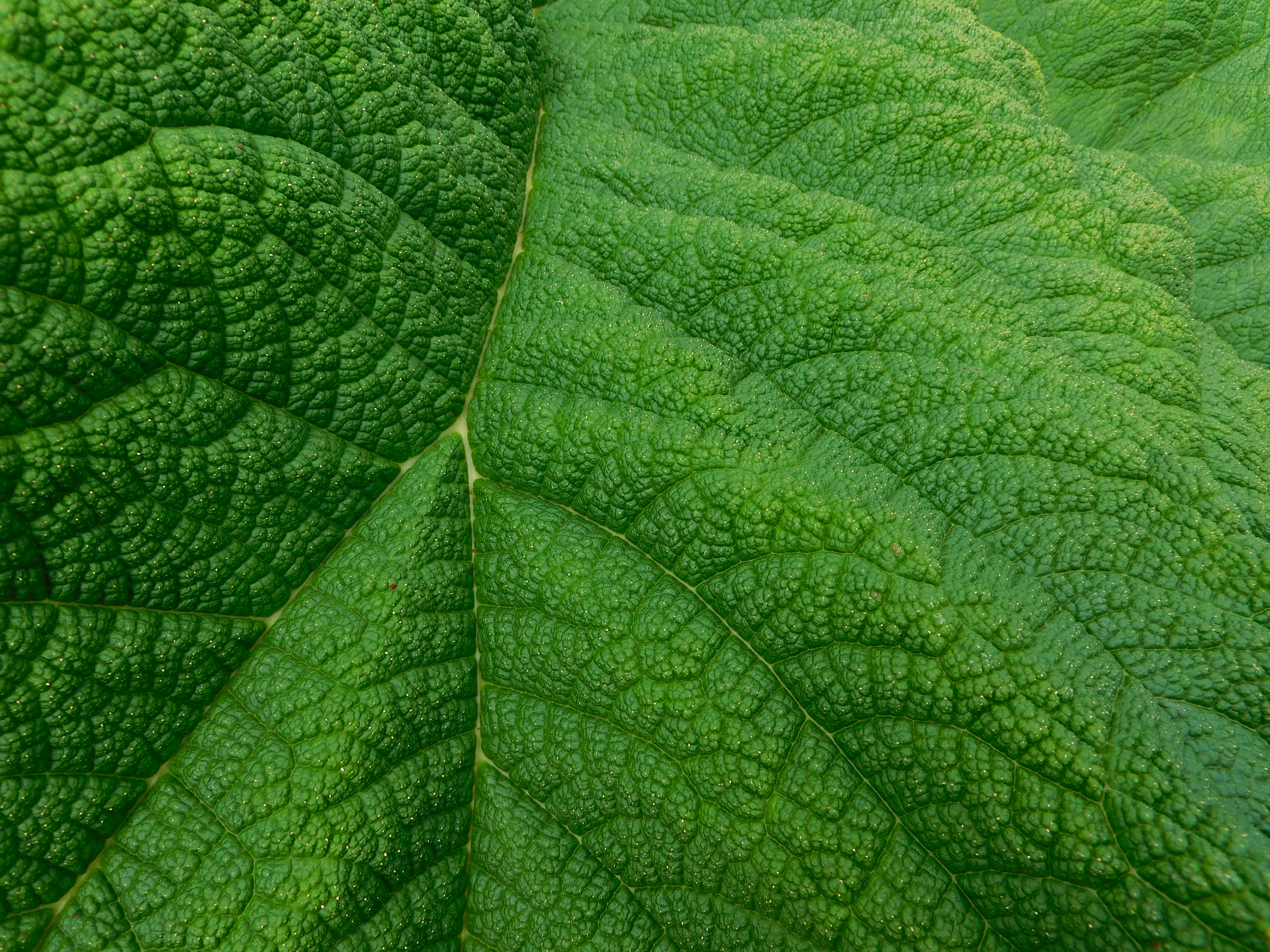 Photo by flora_and_fauna_8_9_10