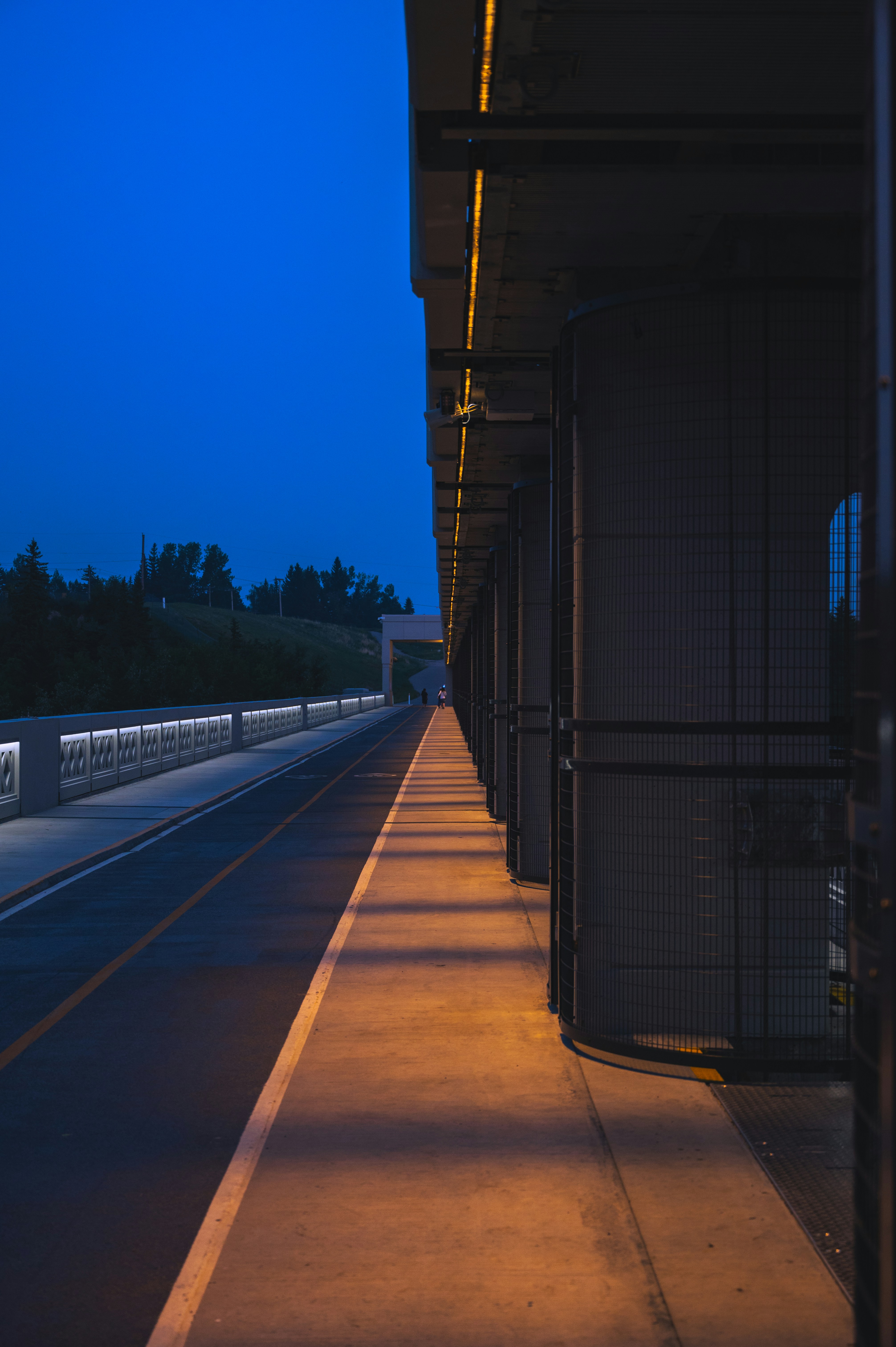 Photo by ryunosuke_kikuno