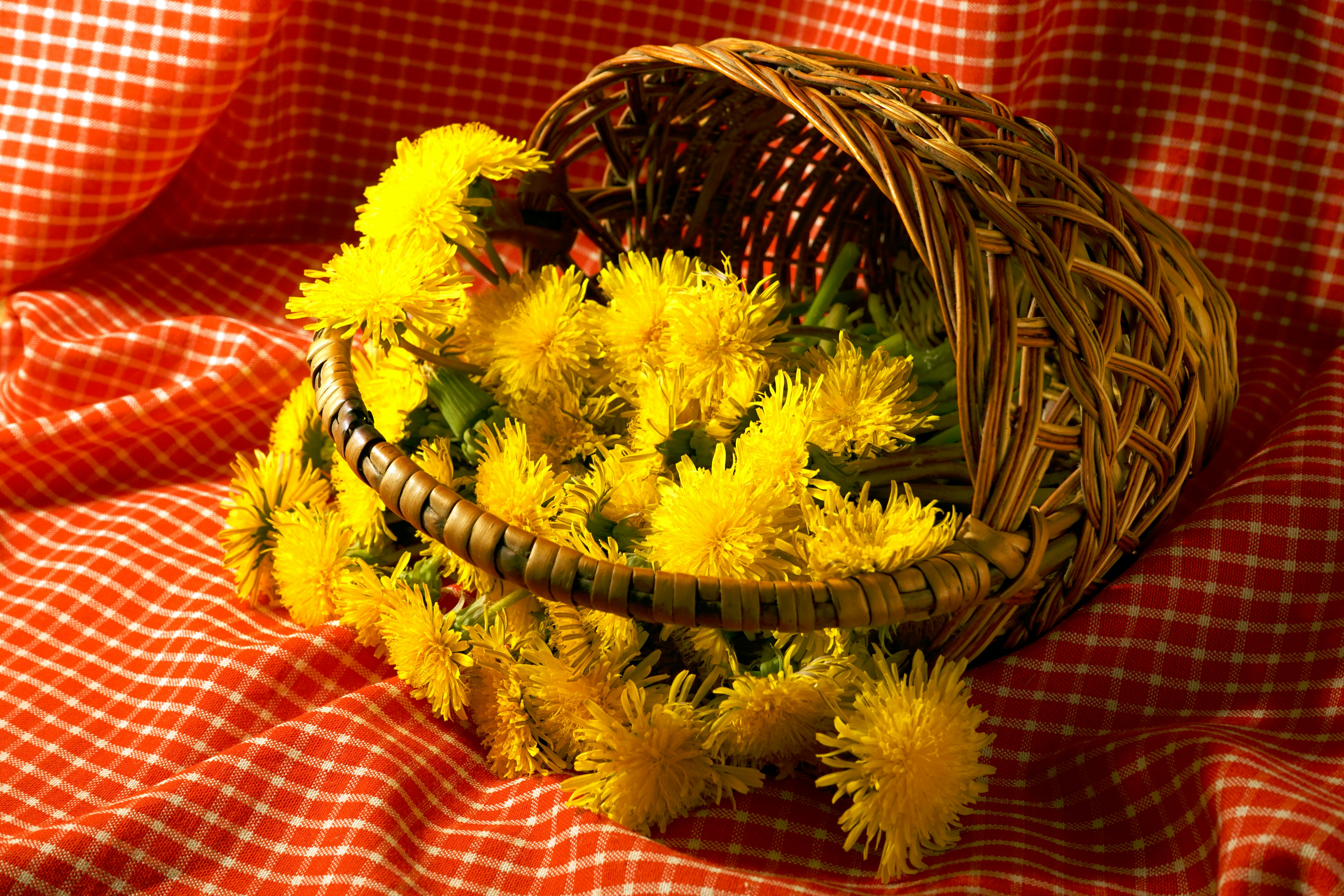 Heartfelt Happy Birthday Wishes for Munawar Faruqui