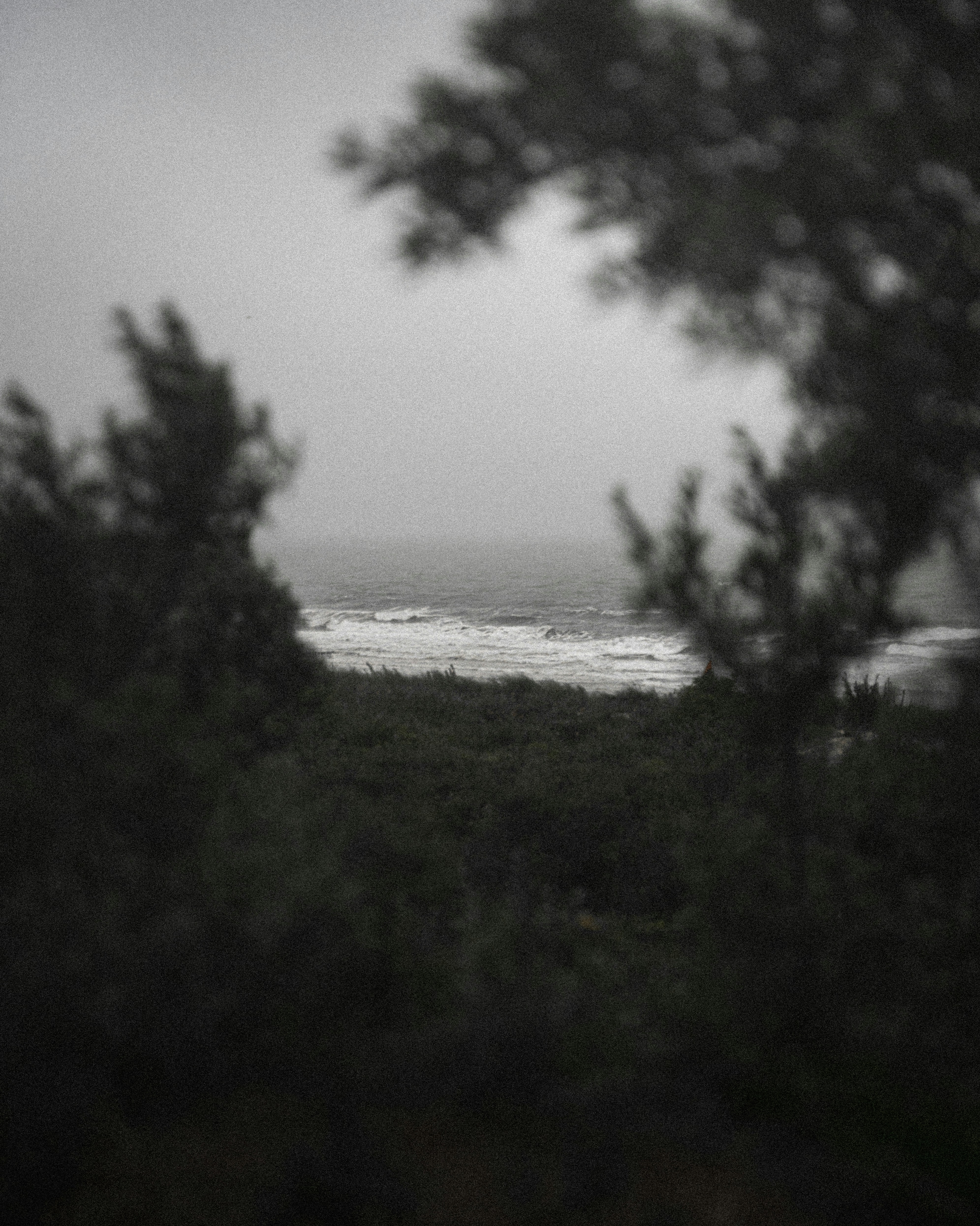 Photo by floppypaste