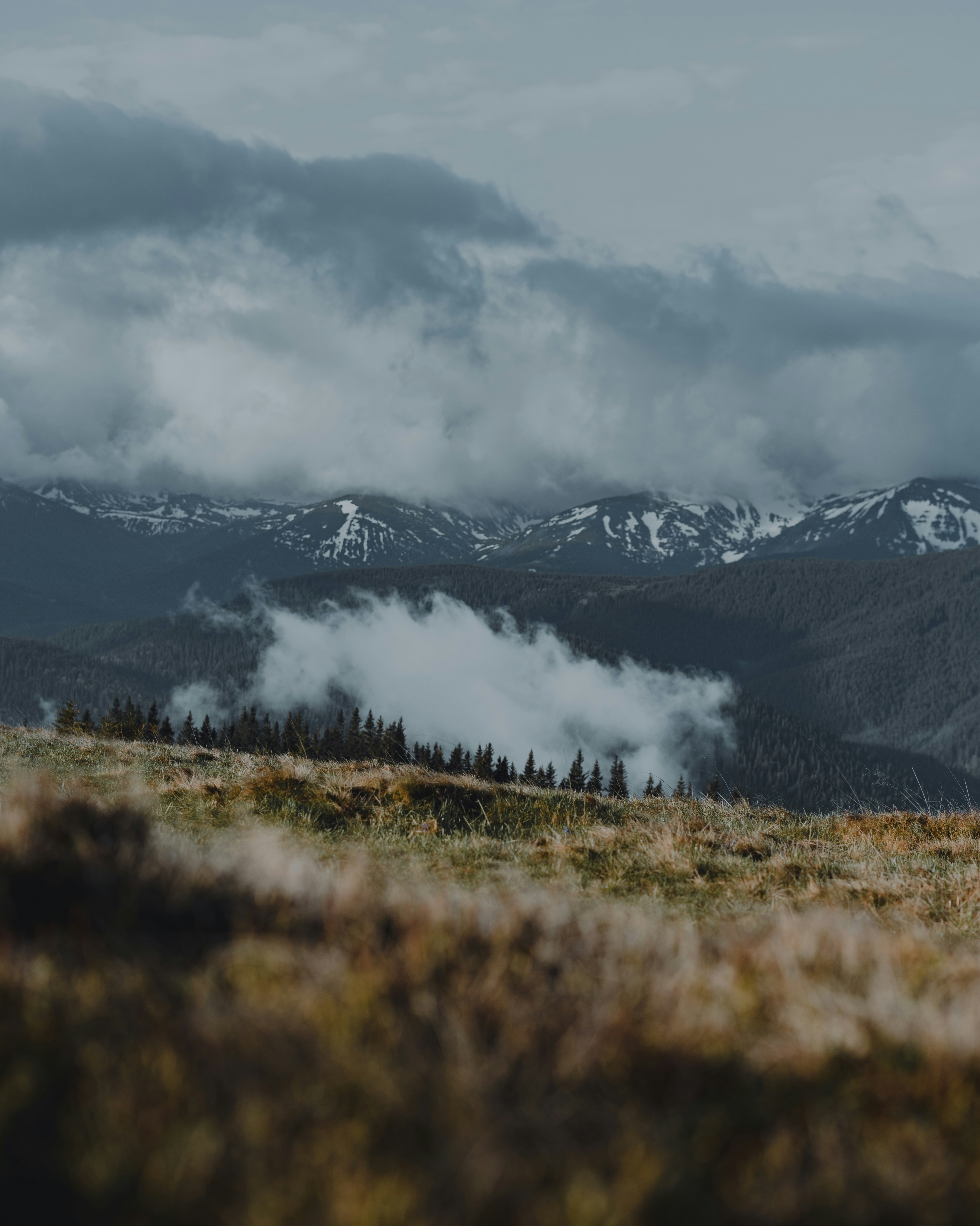 Photo by bullettrainnnnn