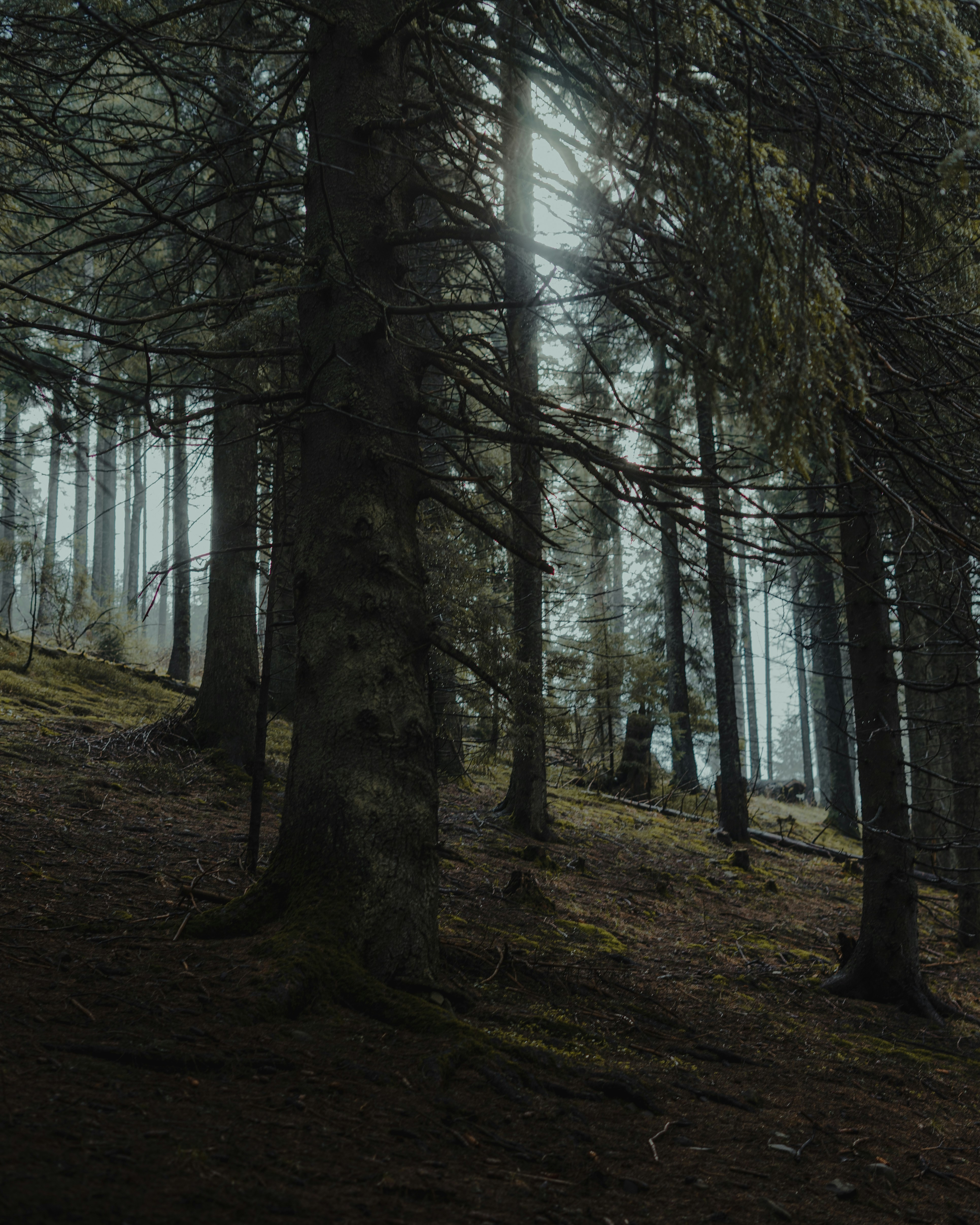 Photo by bullettrainnnnn