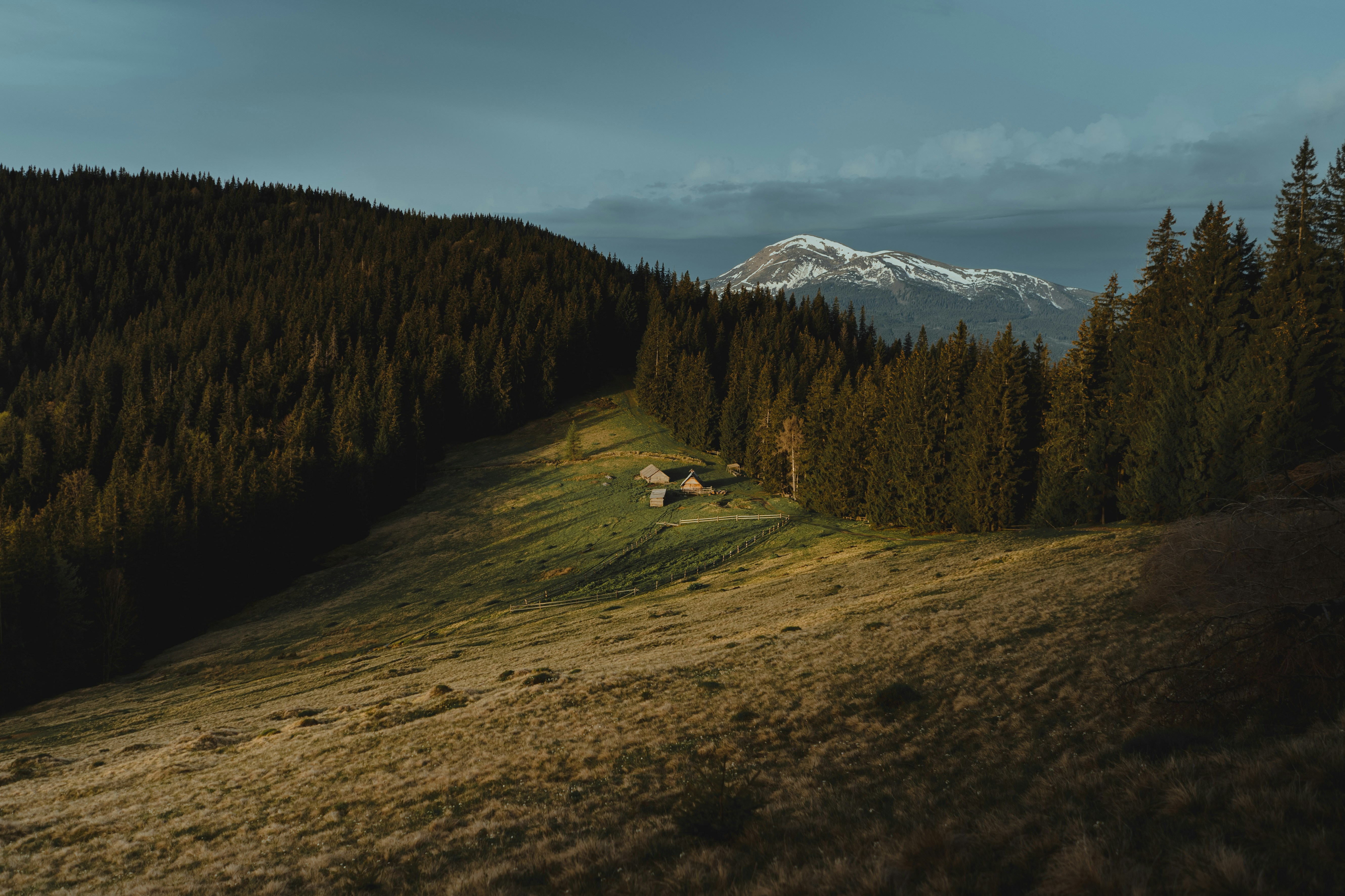 Photo by bullettrainnnnn