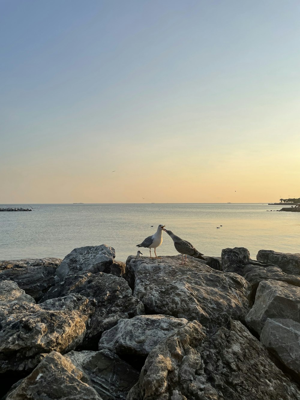 person in black shirt standing on rock formation near sea during daytime