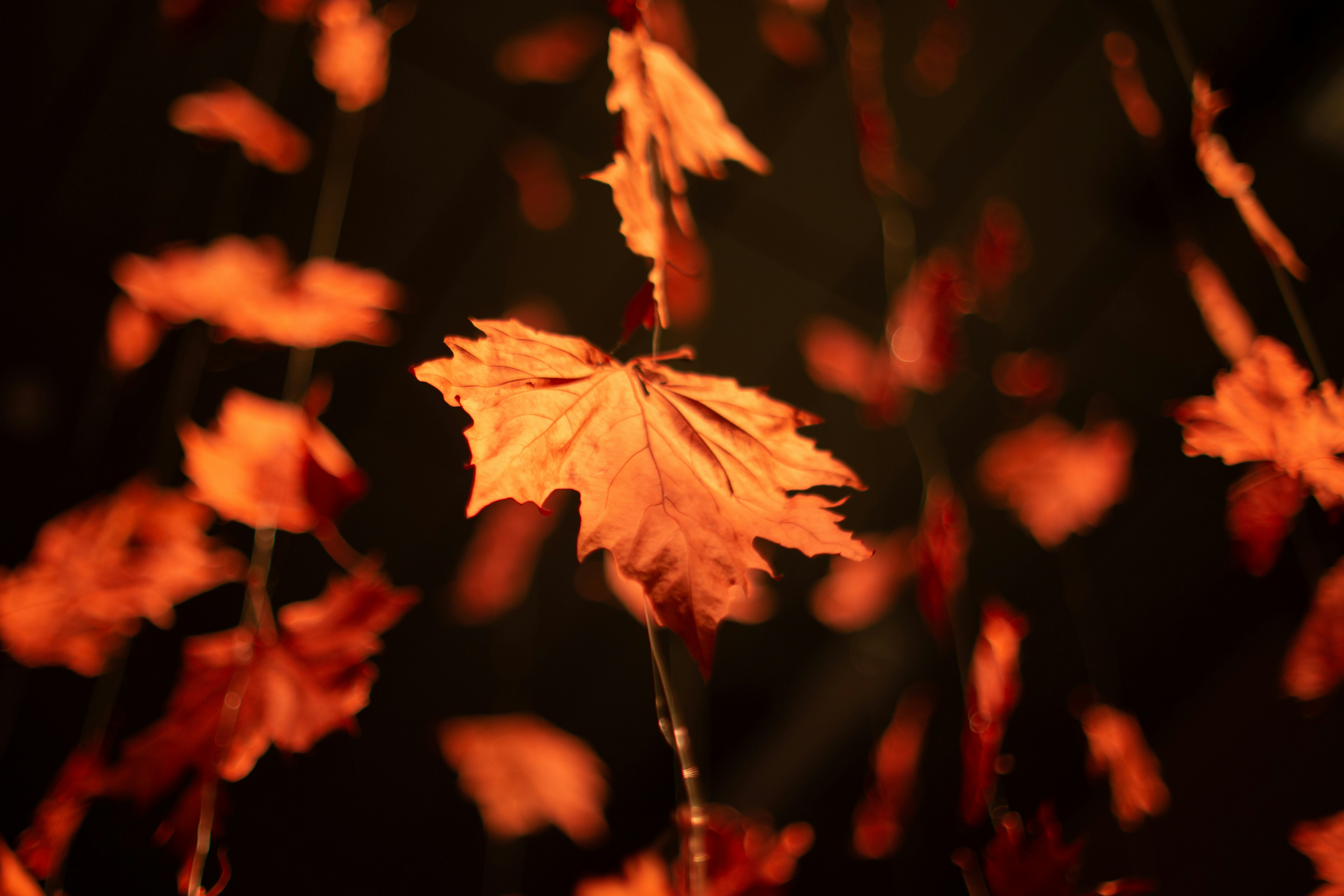 Photo by bethbapchurch