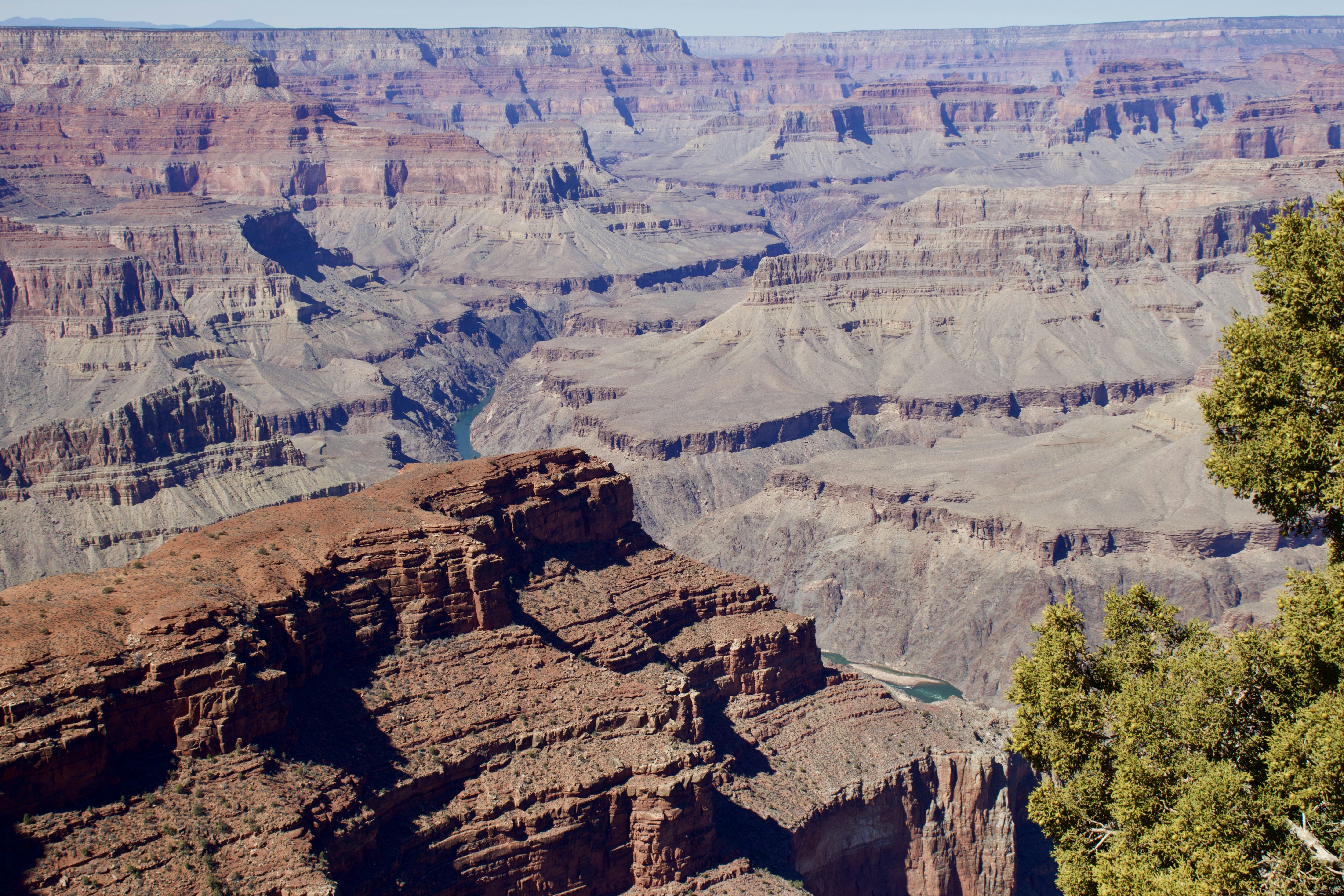 Photo by _bad_llama_