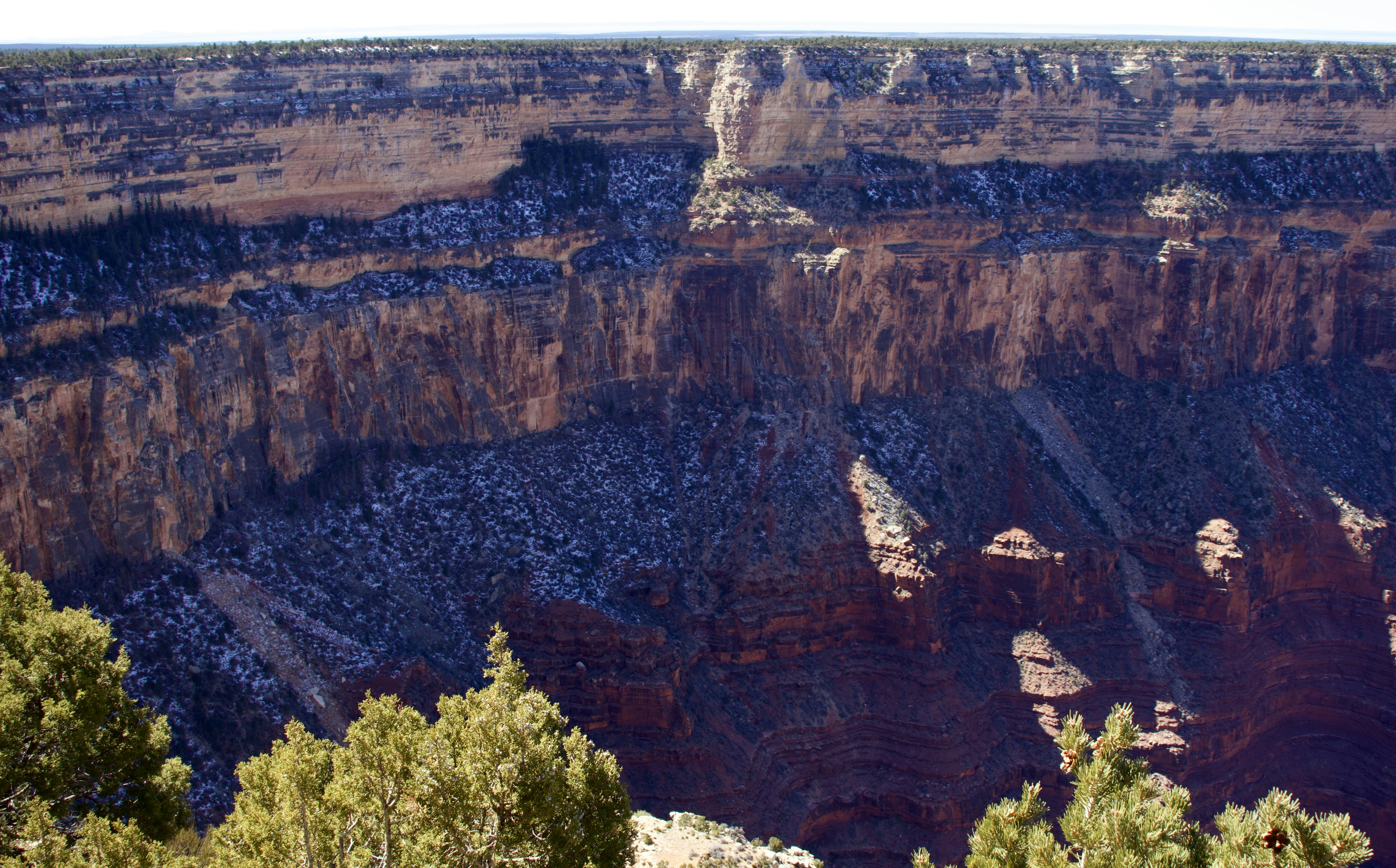 Photo by _bad_llama_