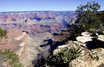 A vast, expansive view of the Grand Canyon with layers of red and orange rock formations stretching across the horizon. In the foreground, there is rocky terrain with sparse vegetation, including small shrubs and a tree to the right. The deep canyons create dramatic shadows contrasting with the bright sky above.