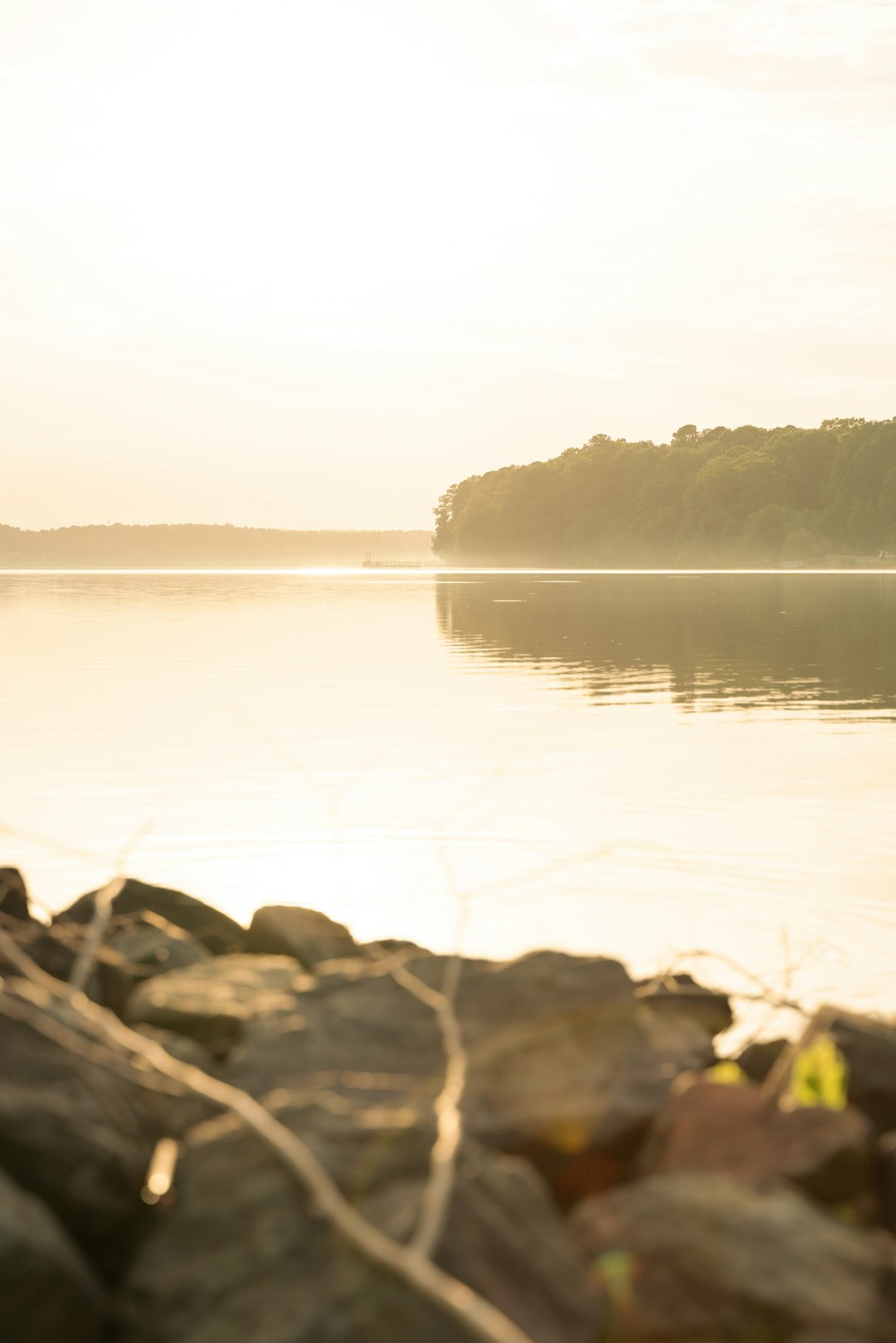 body of water near trees during daytime