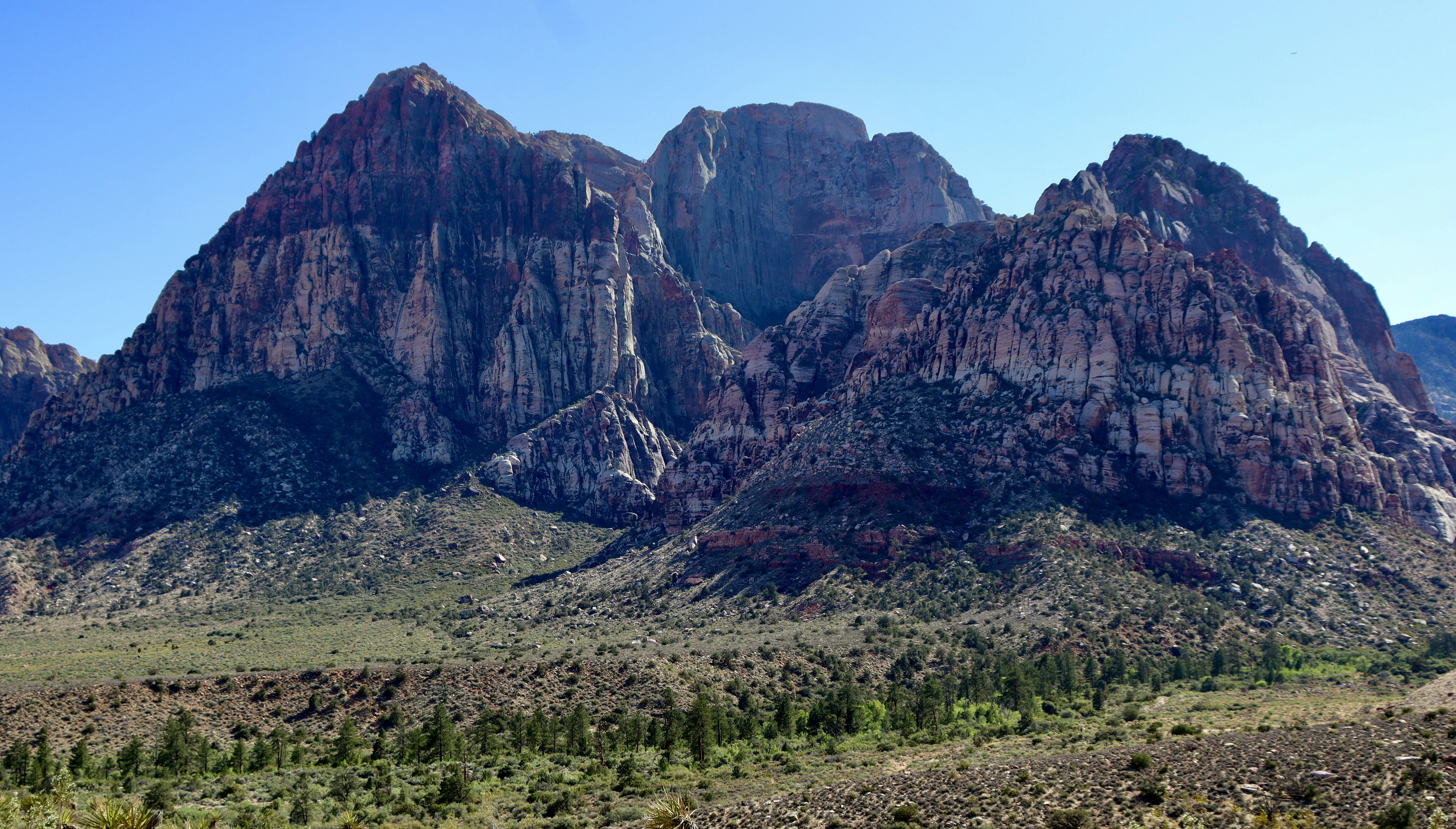 Photo by _bad_llama_