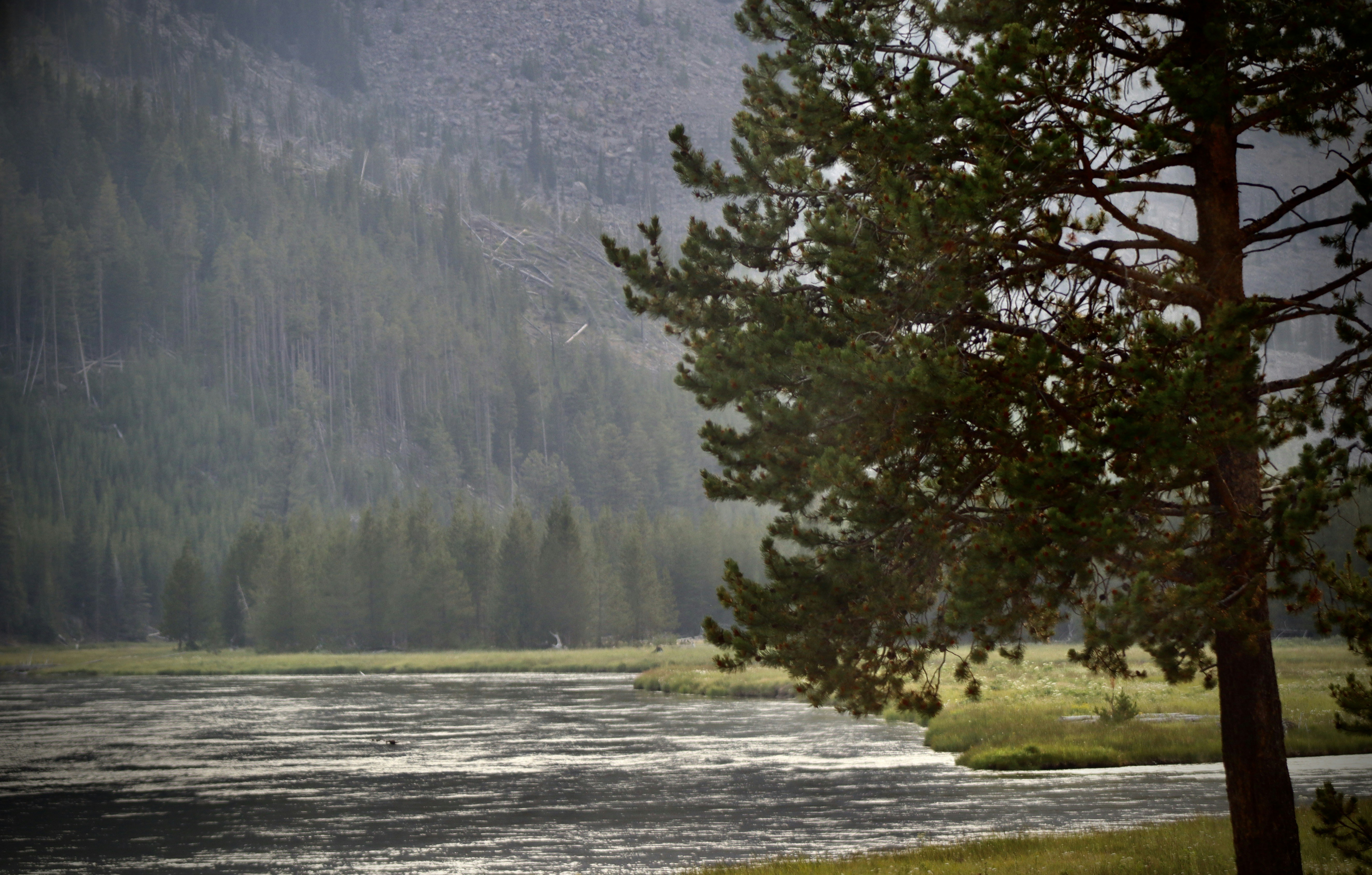 Photo by _bad_llama_