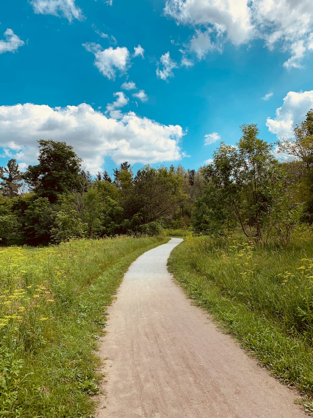 green grass field and trees under blue sky during daytime