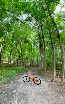 A path through a dense forest with lush green trees. An orange mountain bike is positioned in the center of the dirt trail, surrounded by tall trees and greenery.