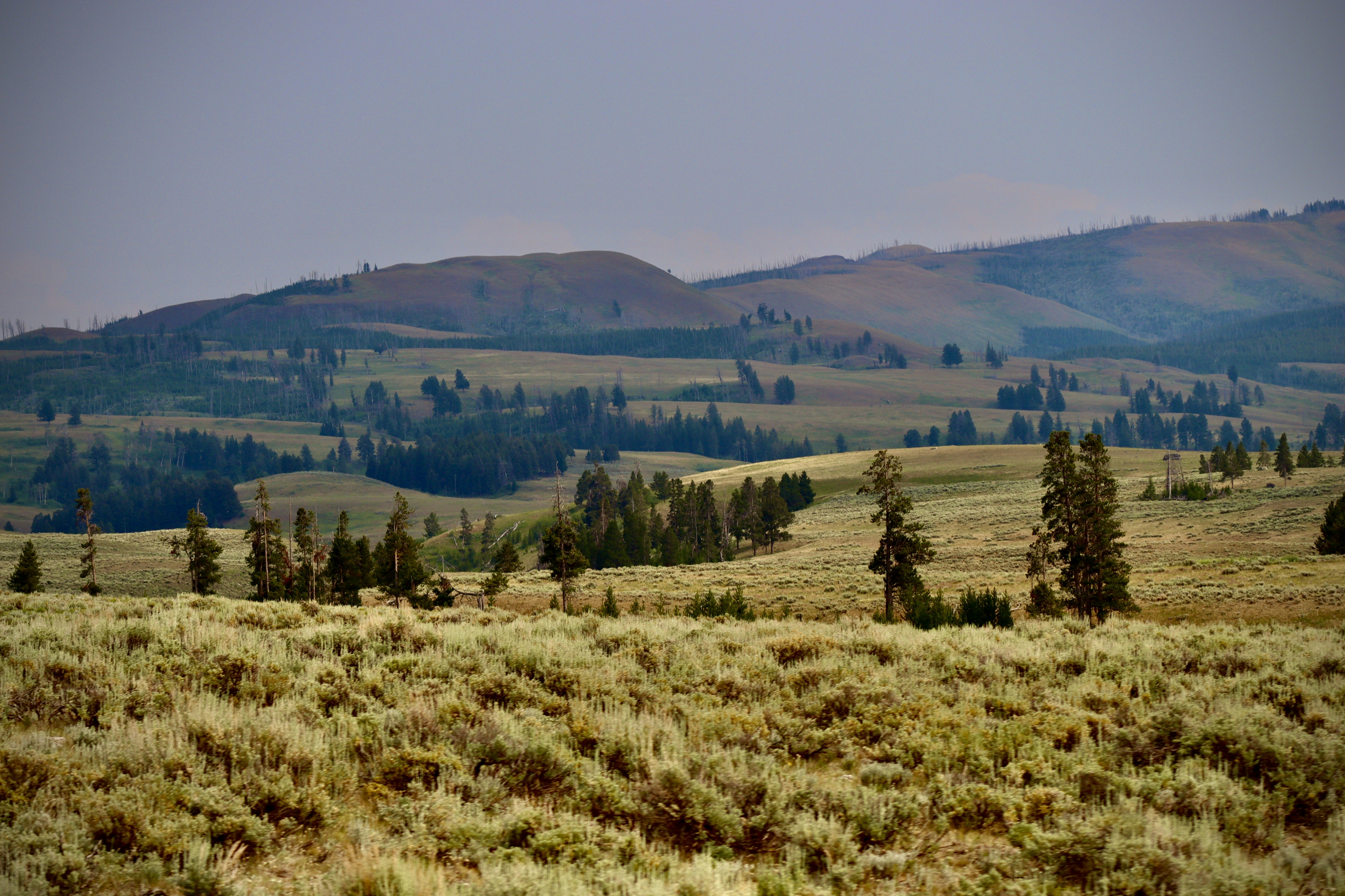 Photo by _bad_llama_