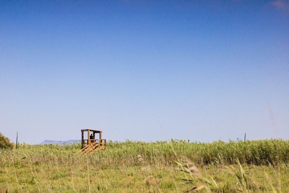 brown wooden chair on green grass field under blue sky during daytime