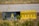 A weathered airport taxiway sign with a yellow background and black markings, displaying the letter 'A' and other symbols. The sign is surrounded by dry grass and low vegetation, with part of an airport runway visible in the background.