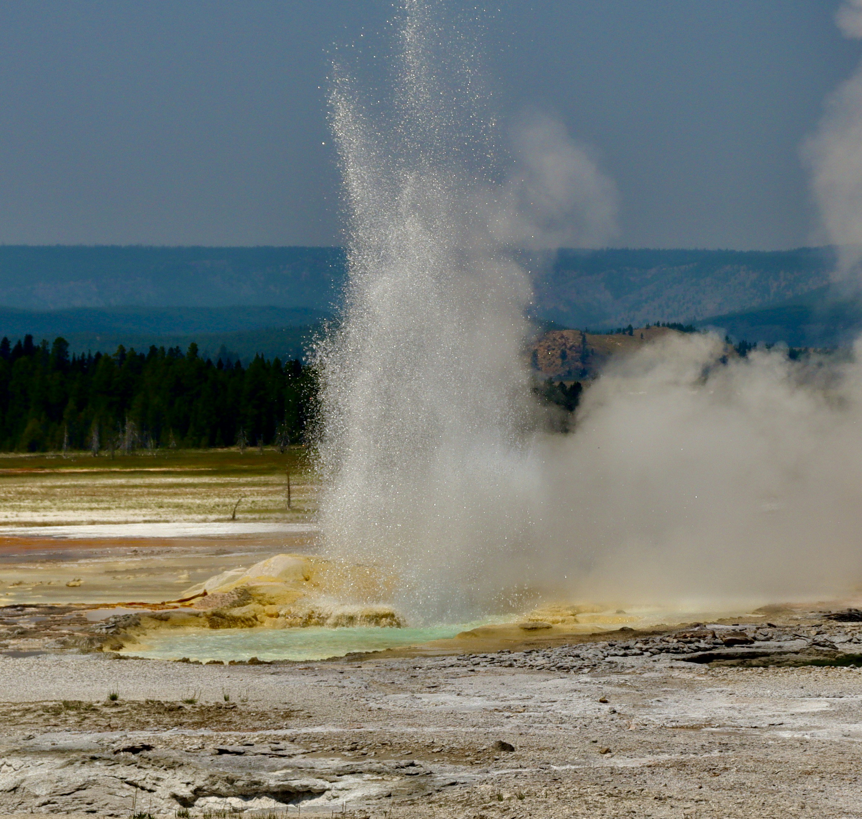 Photo by _bad_llama_