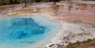 A hot spring in a geothermal area with vibrant colors. The pool is a bright blue, surrounded by white mineral deposits. Surrounding the pool are orange and brown earth tones. Sparse vegetation and dead trees are visible in the background.