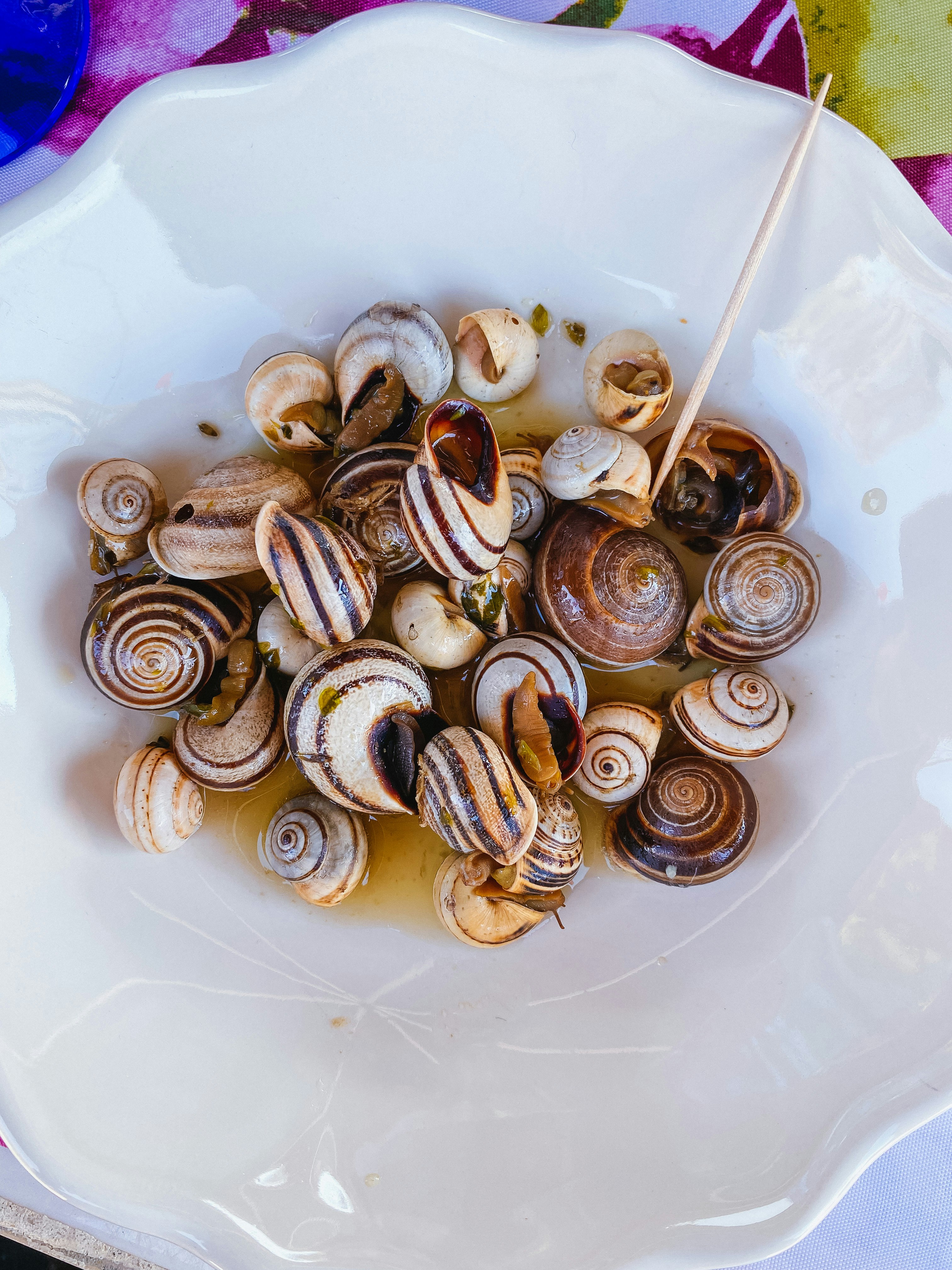 Bebbux Gourmet Snail Delights