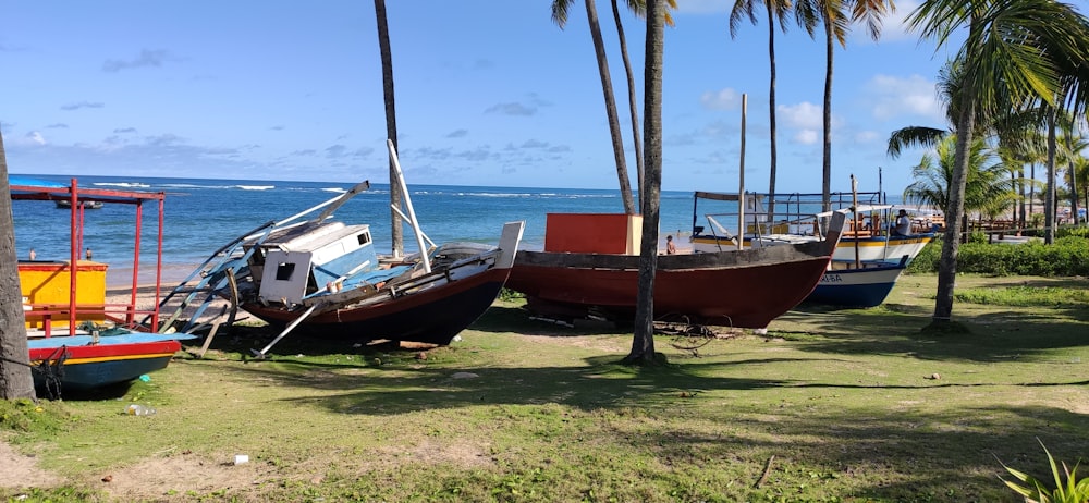 brown and white boat on green grass field during daytime