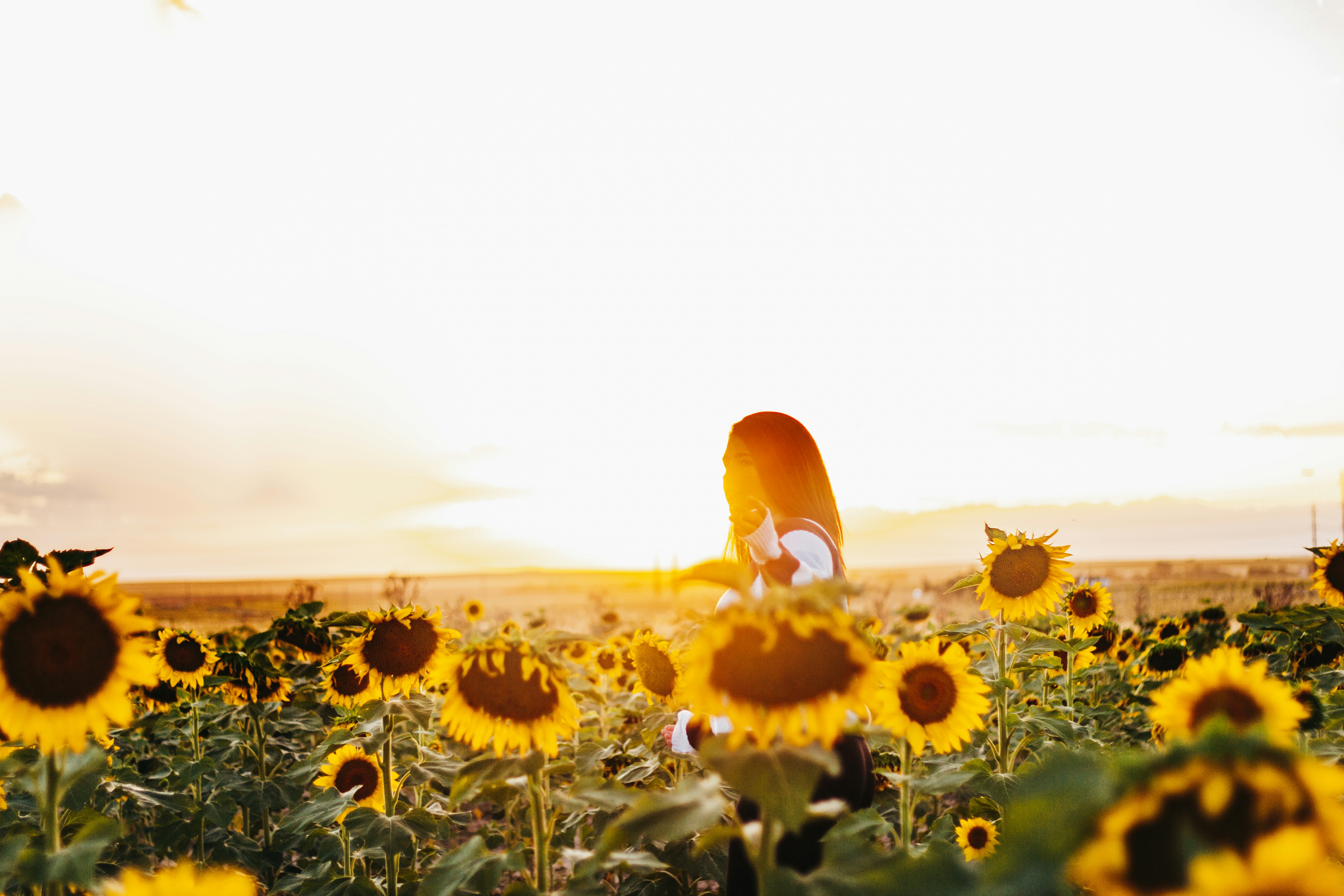 Photo by noellerebekah