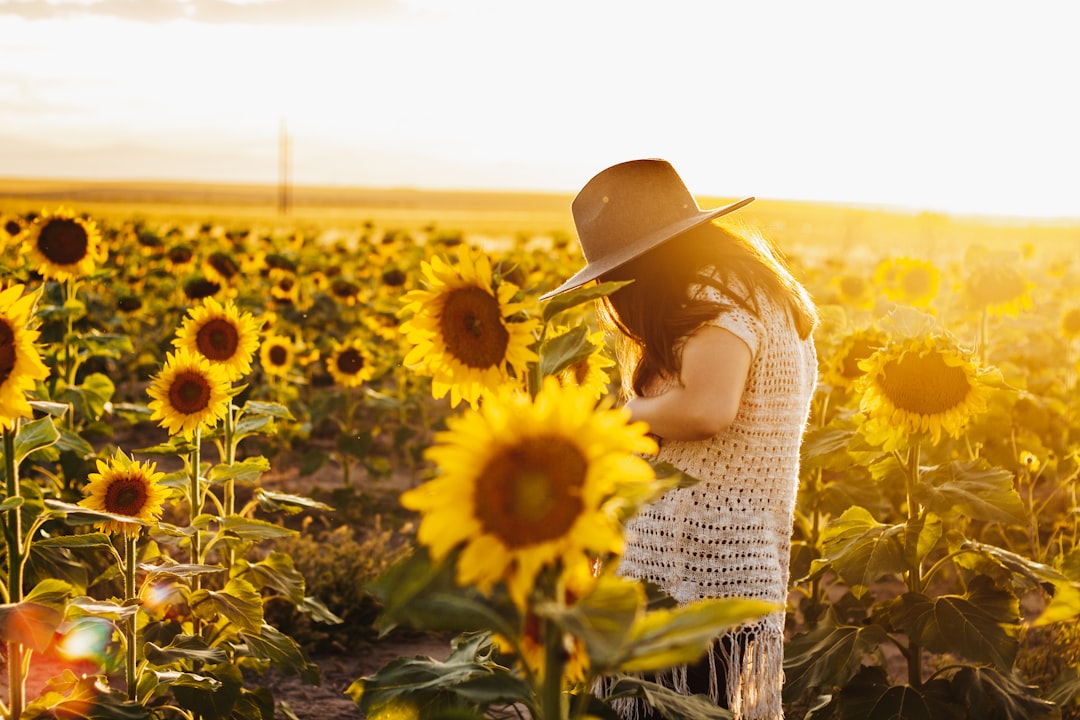 woman in white knit dress standing on sunflower field during daytime