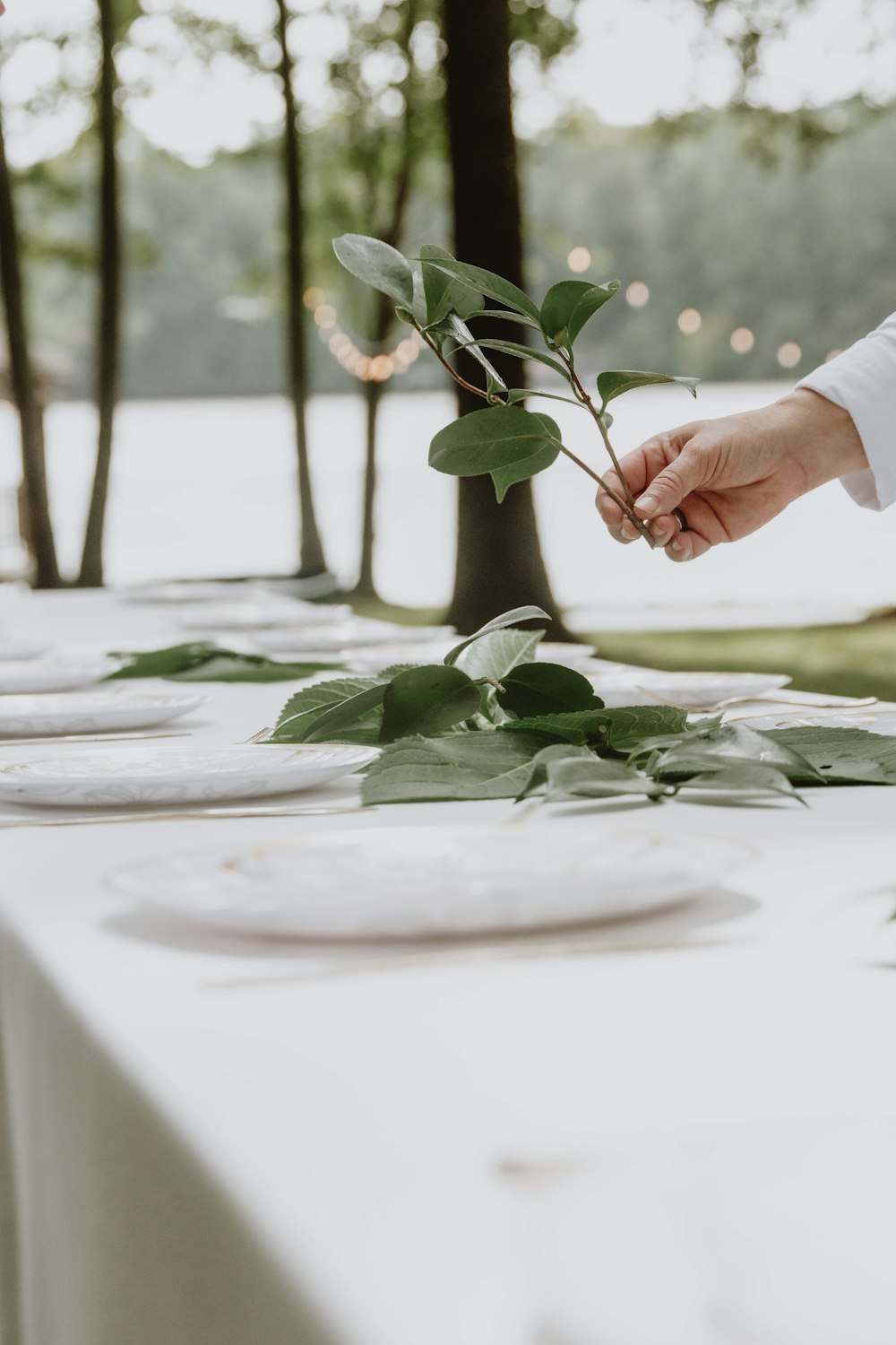 白い陶板に緑の植物を持つ人