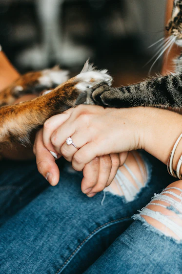 Personas tomandode la mano a un perro y un gato