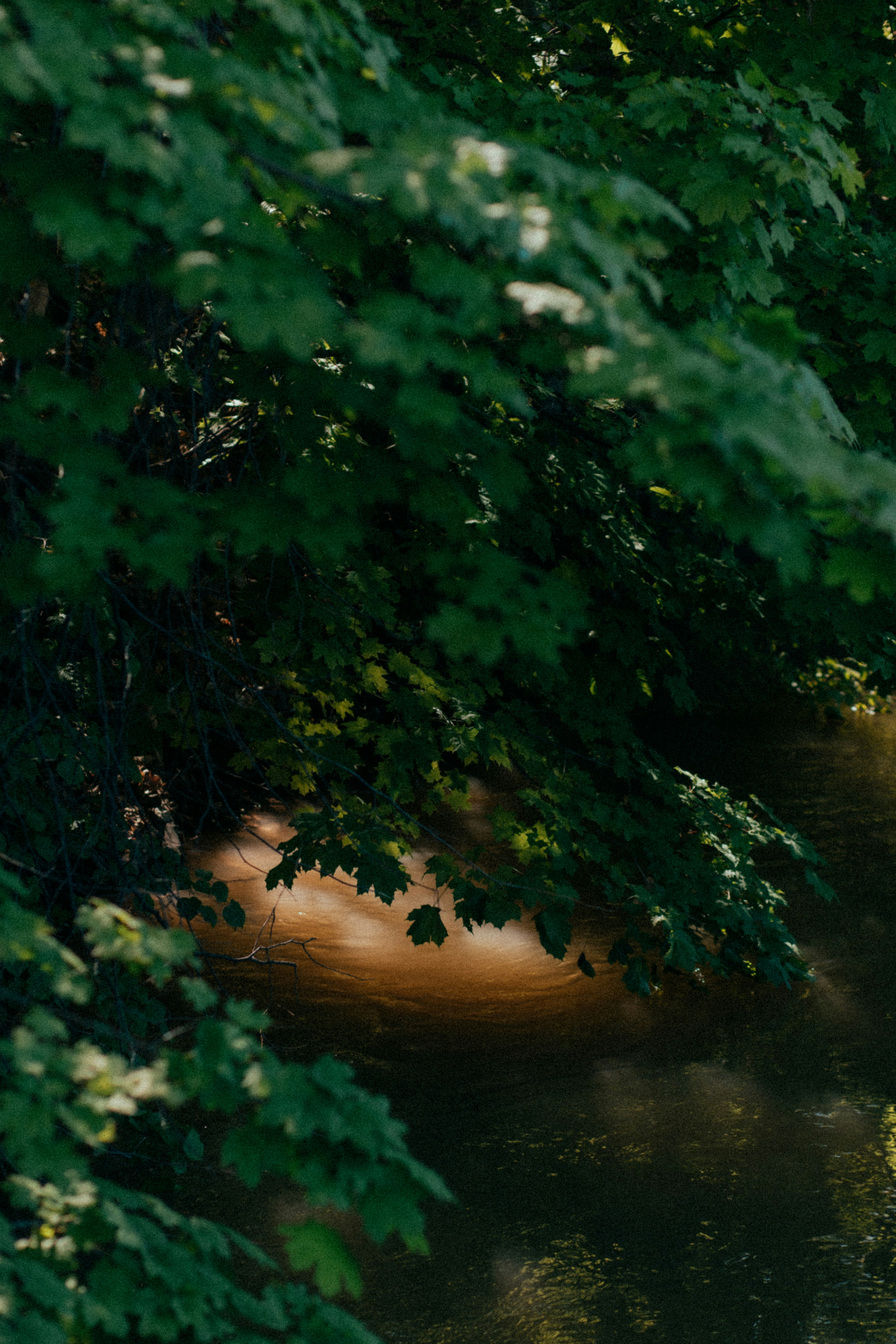 Photo by marsupialpudding