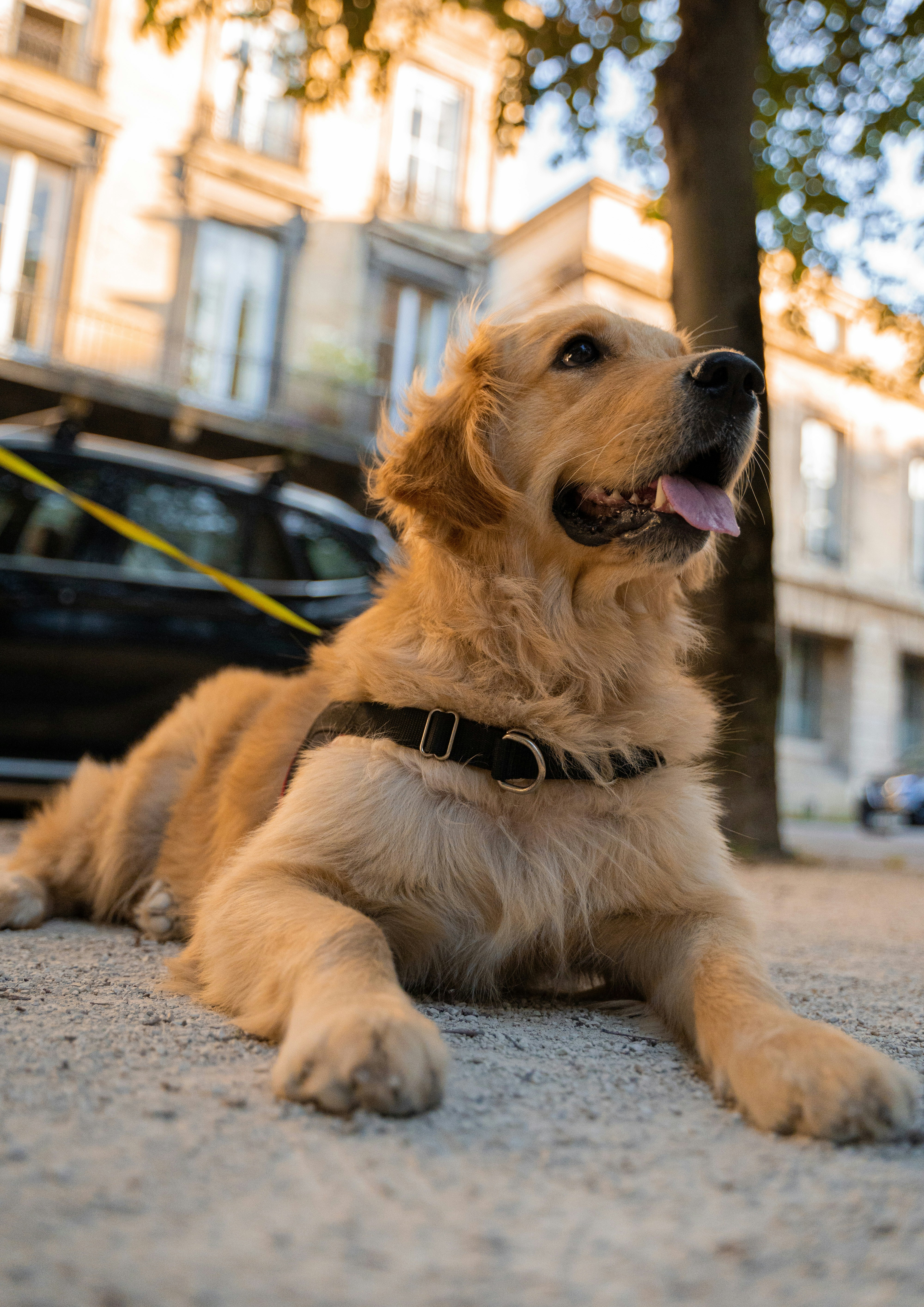 Photo by moanarchives