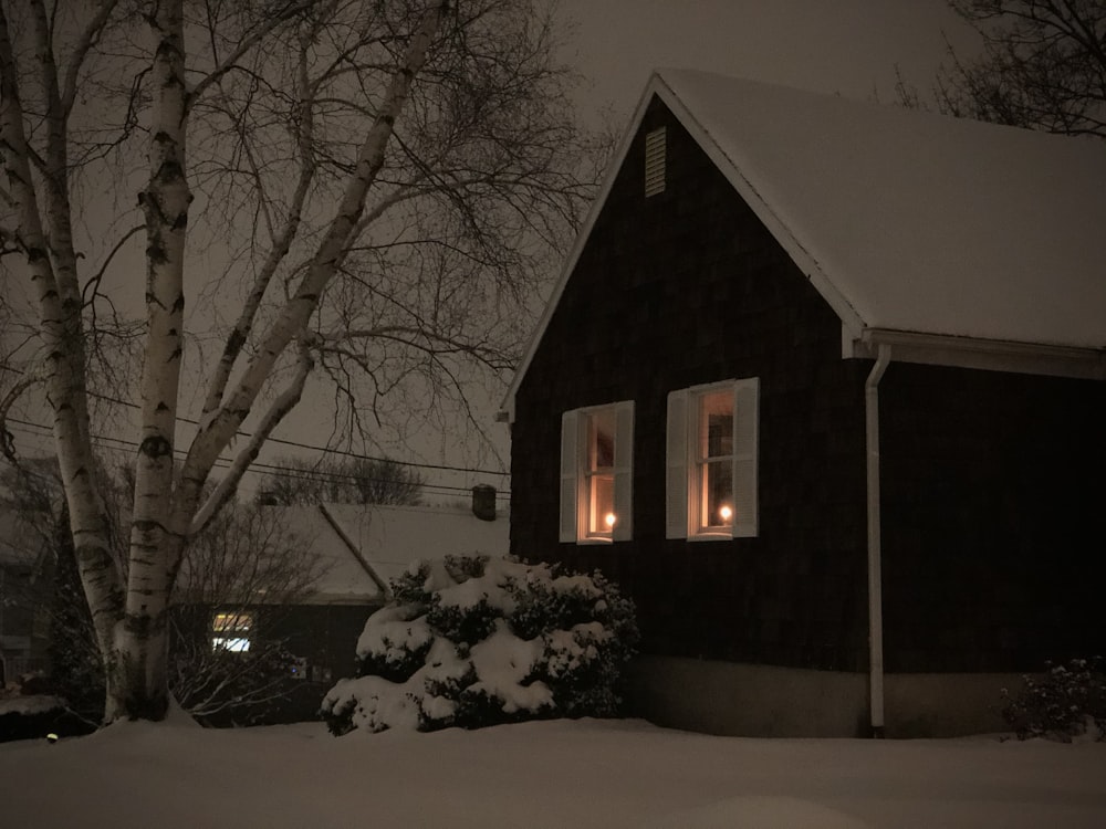 Arbres dénudés près de la maison pendant la nuit