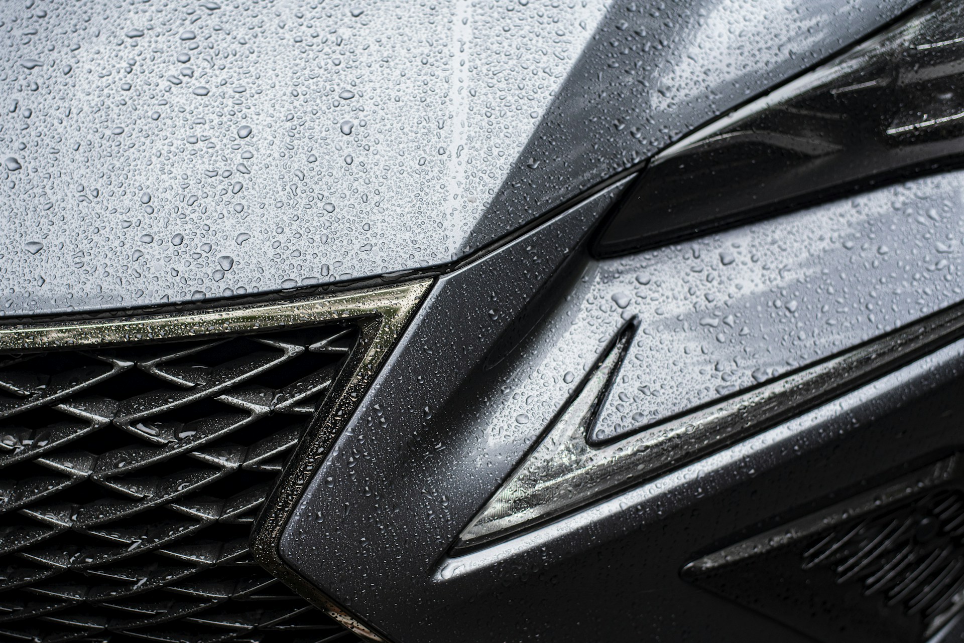 silver and black car plate