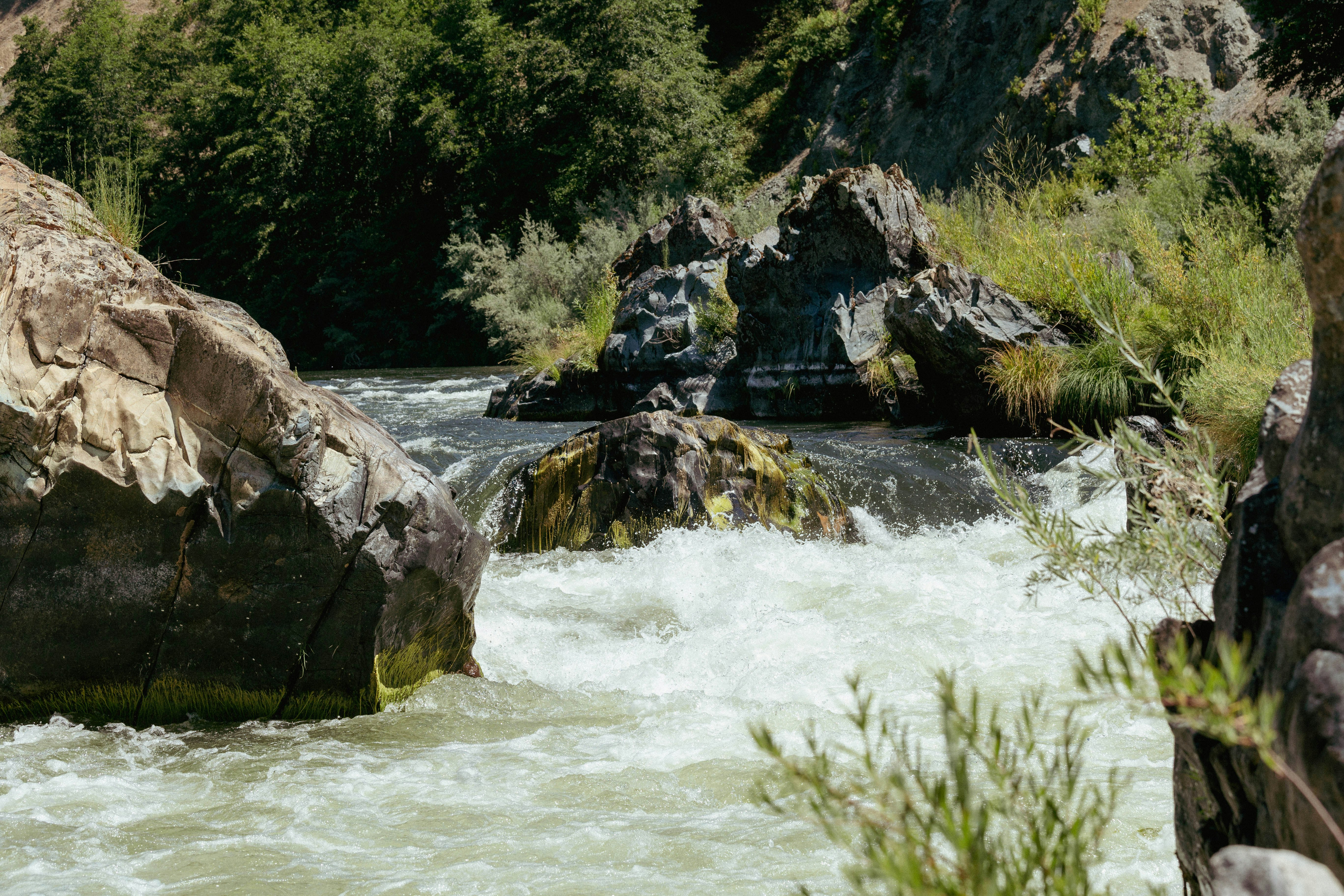 green grass and brown rocks near river during daytime