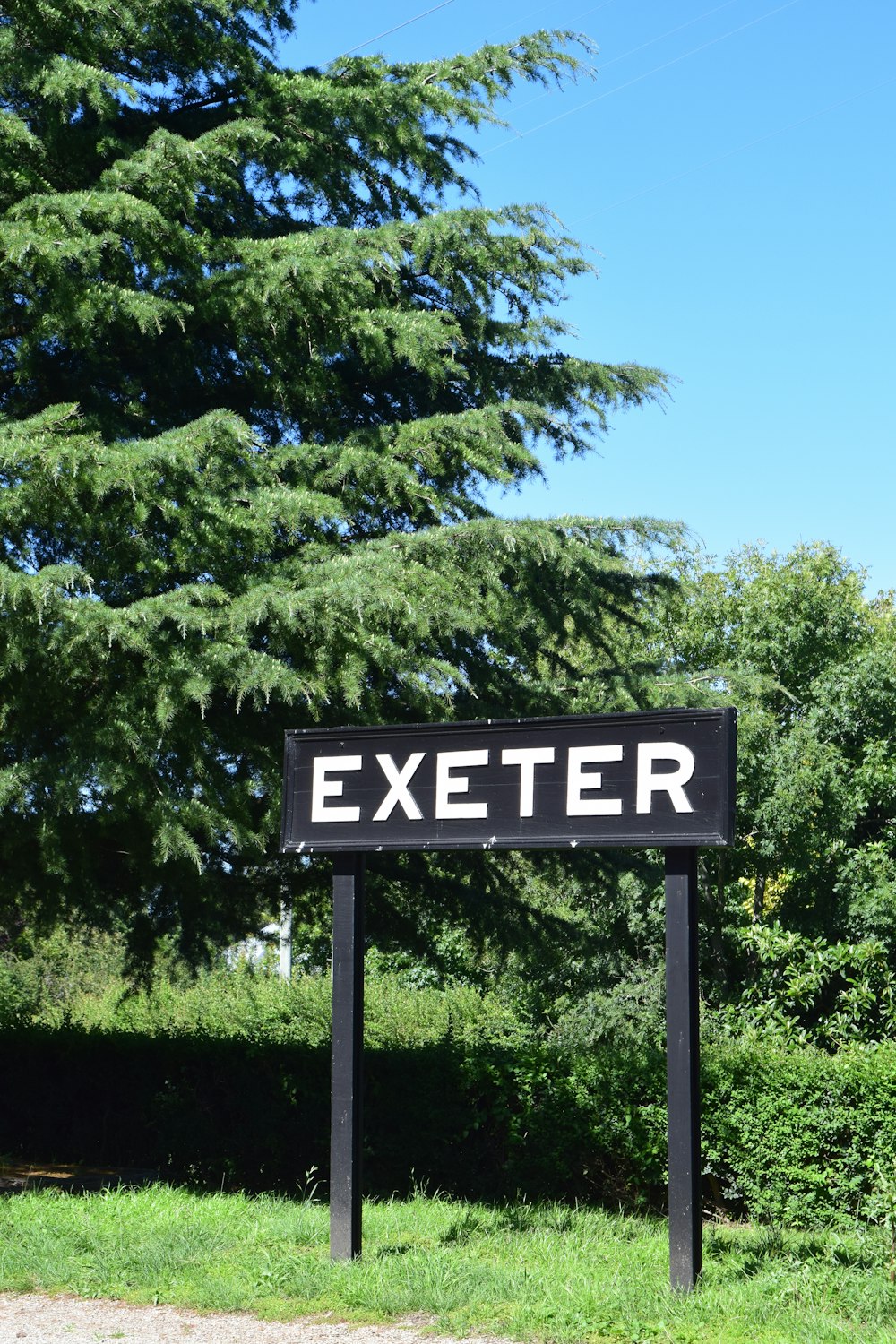 a sign that says exter in front of some trees