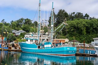 blue and white boat on water during daytime