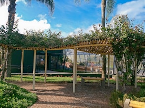 A wooden pergola with leafy vines provides a shaded walkway surrounded by lush green grass and manicured shrubs. In the background, a modern greenhouse with geometric glass panels is partially visible, complemented by tall palm trees and a bright blue sky with scattered clouds.