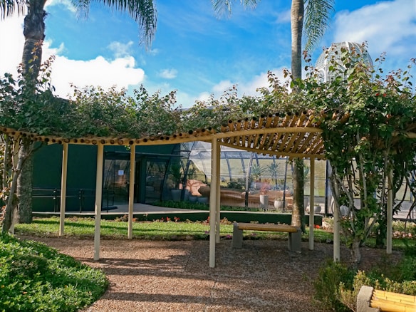 A wooden pergola with leafy vines provides a shaded walkway surrounded by lush green grass and manicured shrubs. In the background, a modern greenhouse with geometric glass panels is partially visible, complemented by tall palm trees and a bright blue sky with scattered clouds.